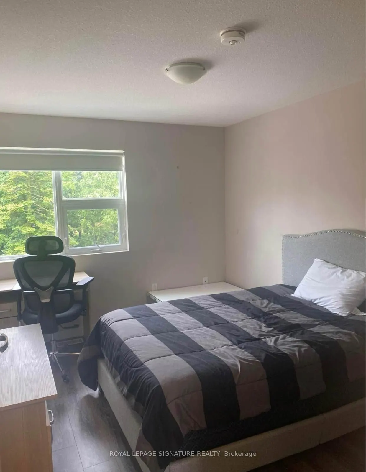 288 Albert Street #216