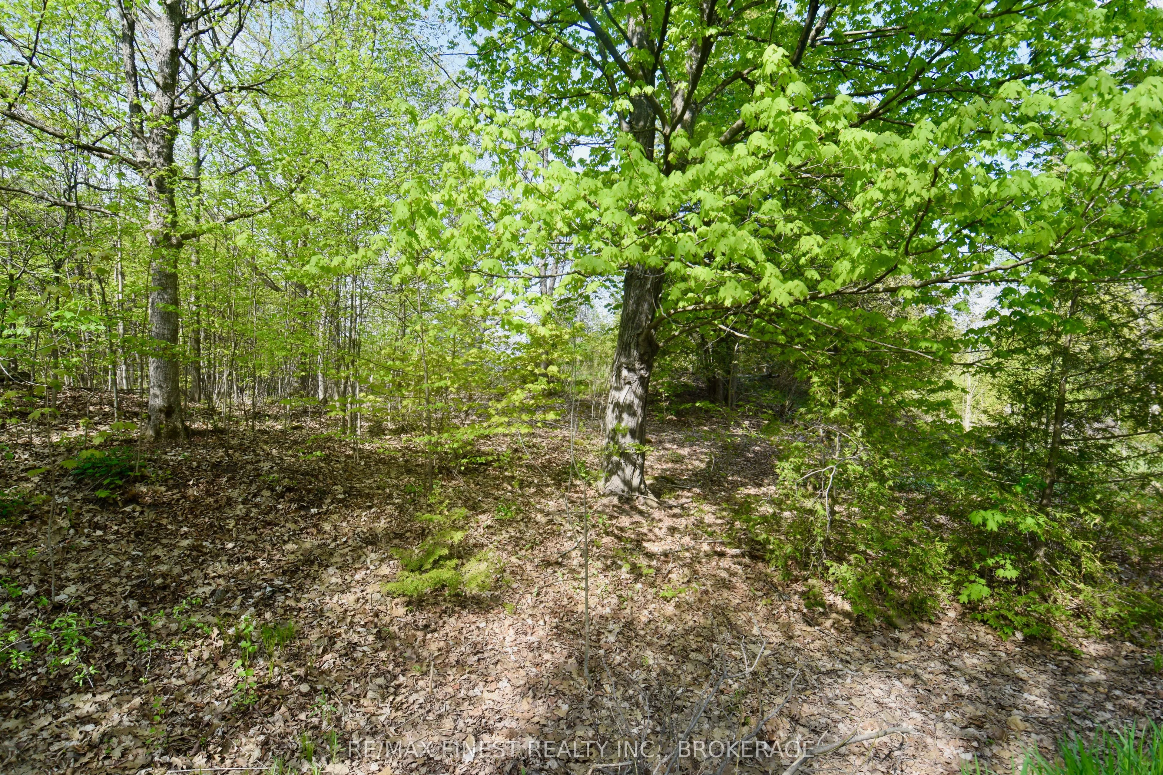 Lot 3 Ballantra Drive