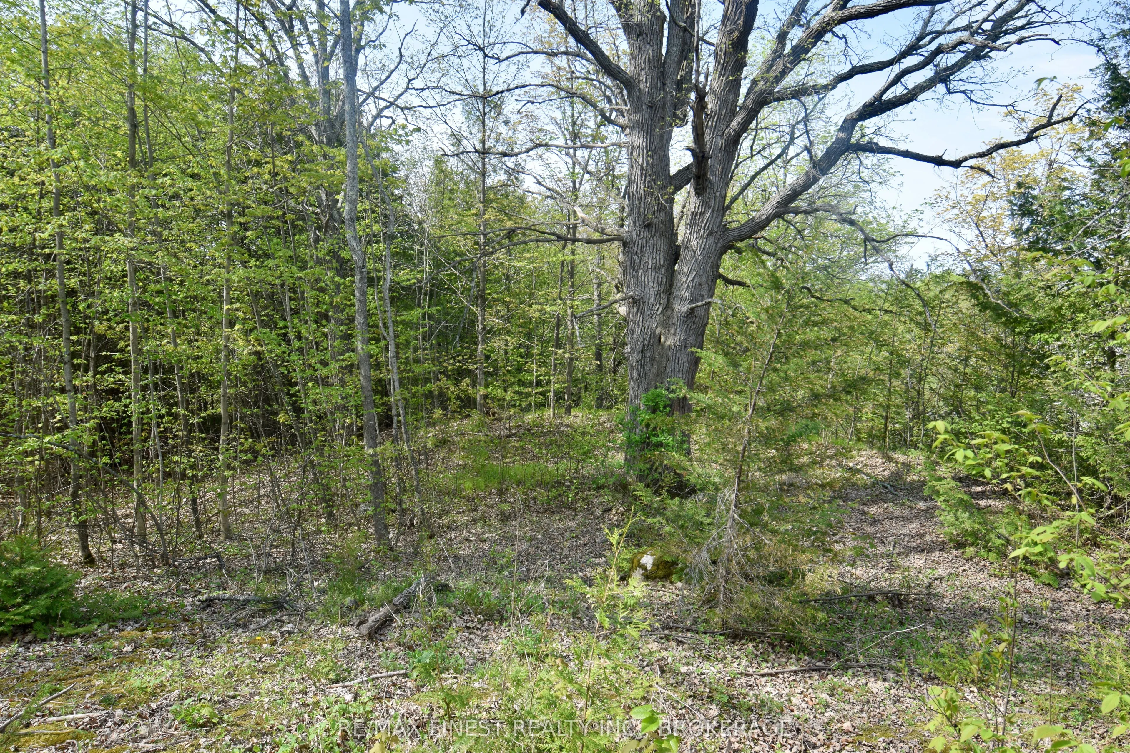 Lot 3 Ballantra Drive