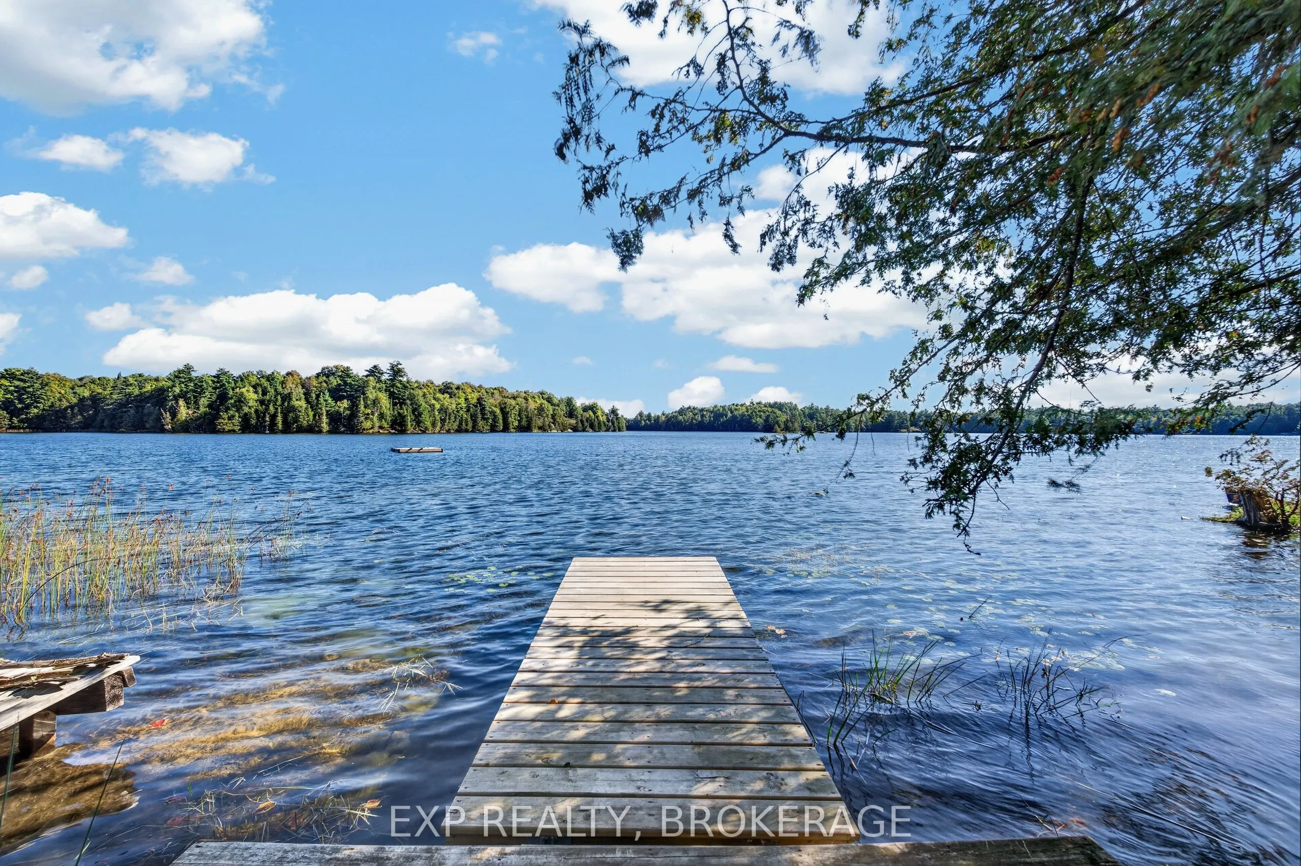 1091 O'REILLY LAKE Lane #Site OR336
