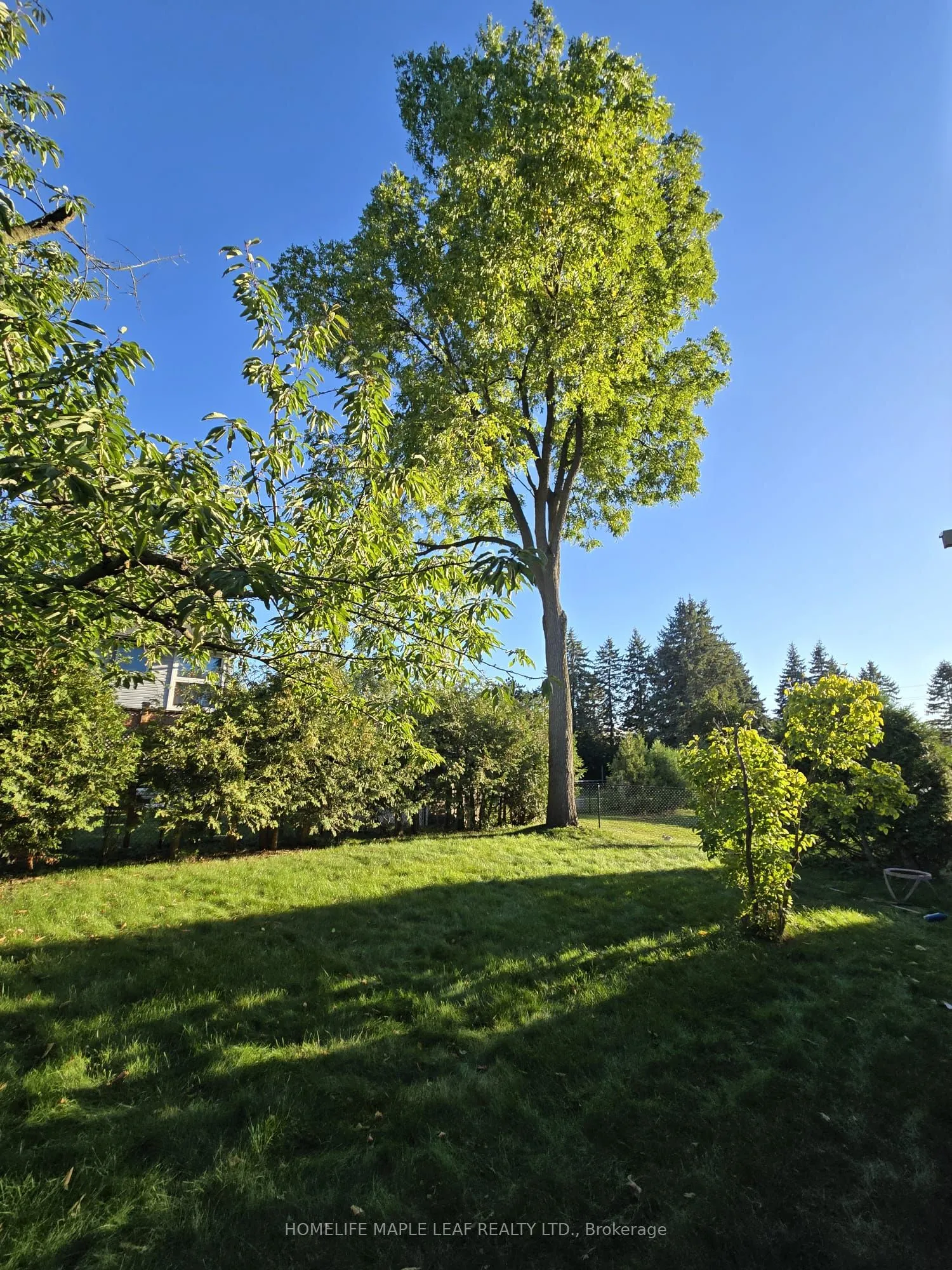 410 Lakeview Drive