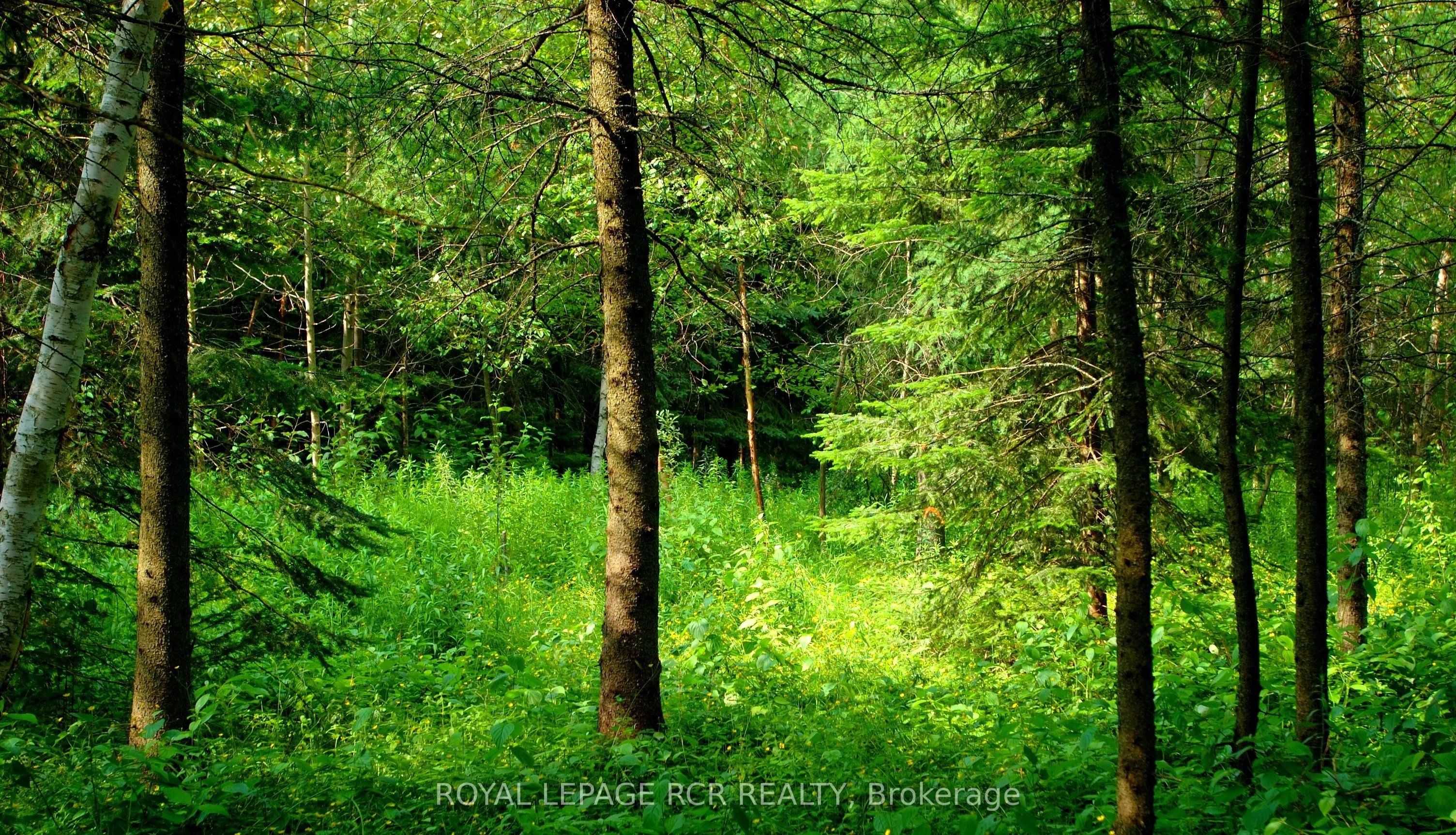 Lot 31 9 County Road