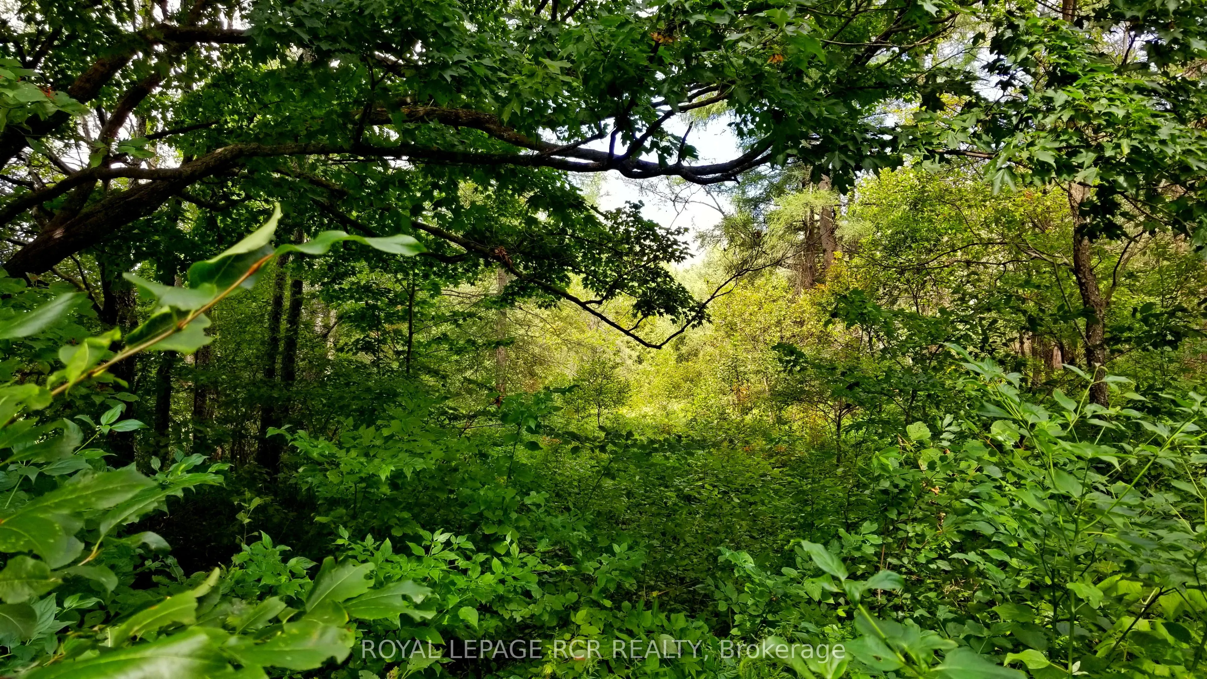 Lot 31 9 County Road