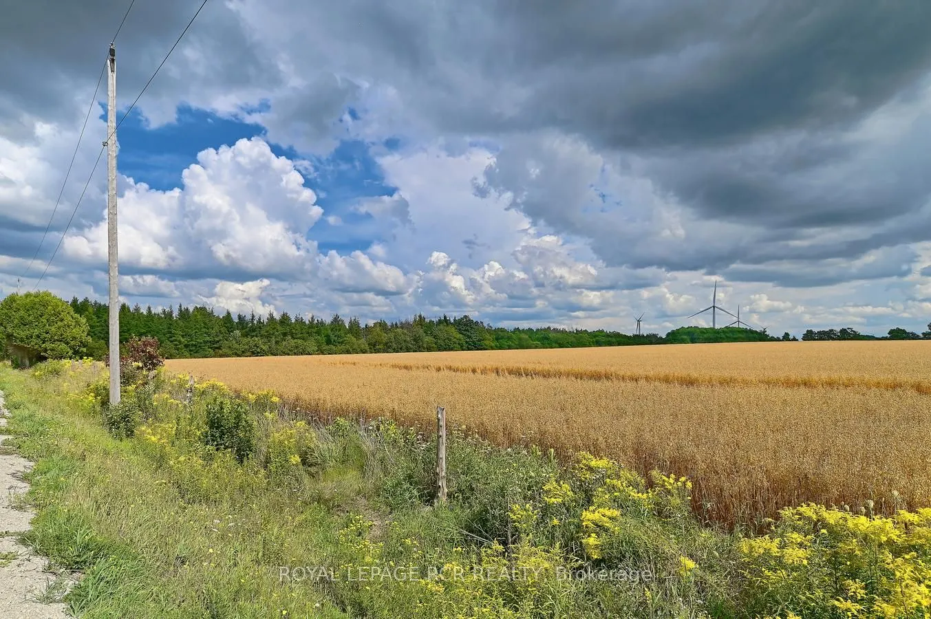 Lot 31 9 County Road