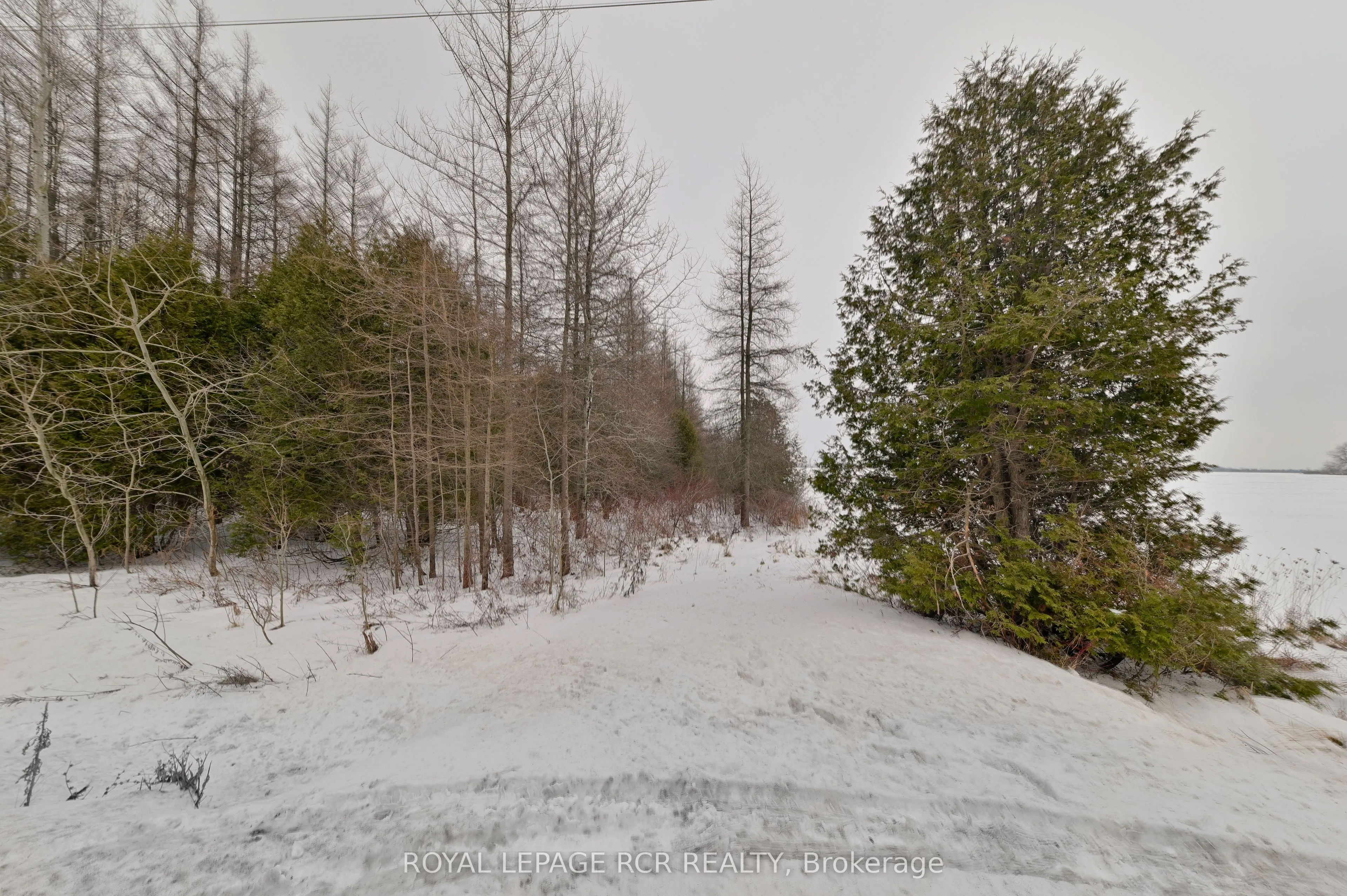 Lot 31 9 County Road