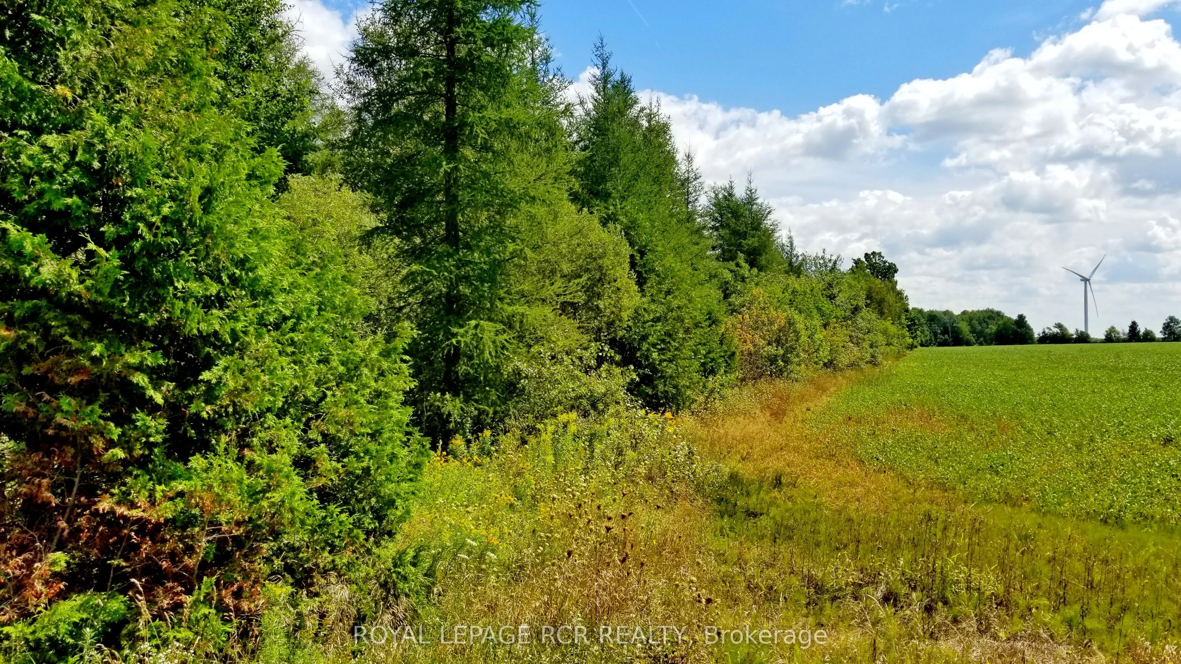 Lot 31 9 County Road