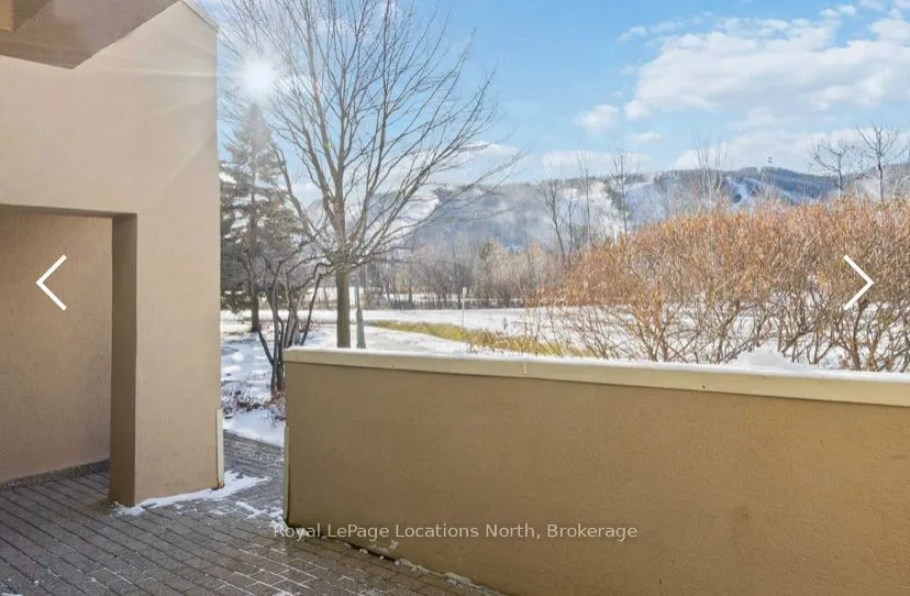 107 Wintergreen Place N #117