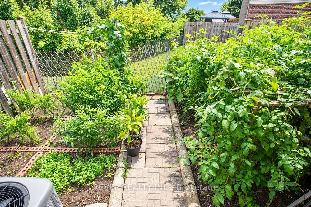 151 Brantwood Park Road #F