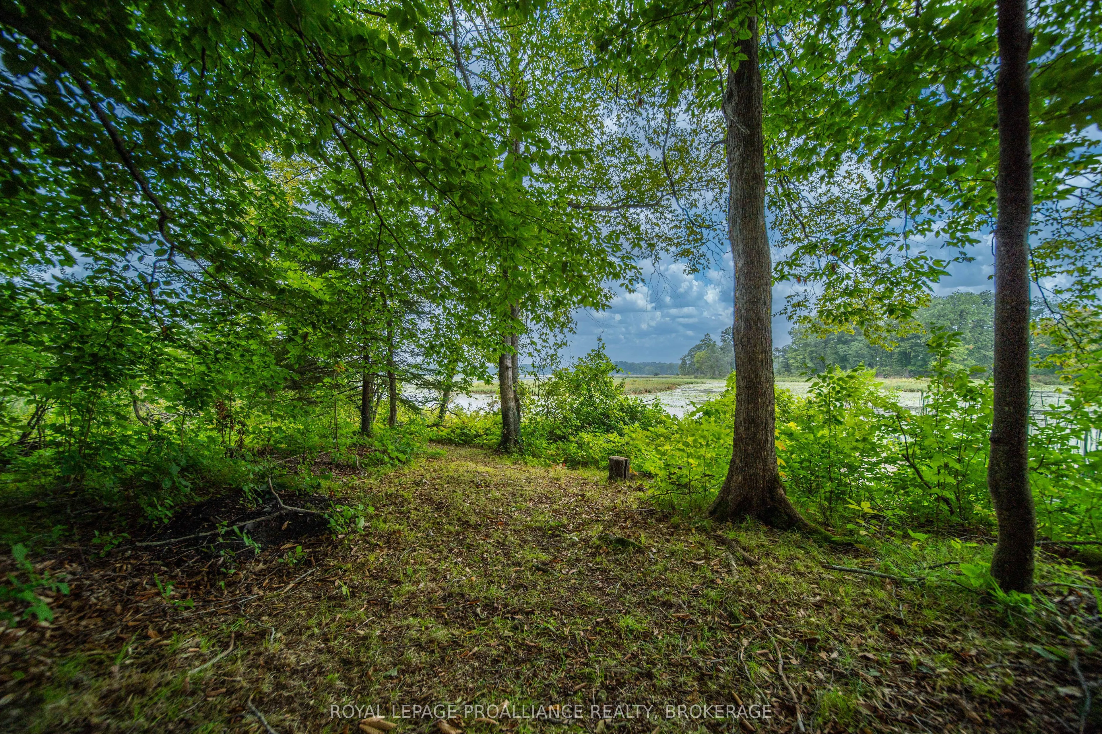 4781 Wilmer Road