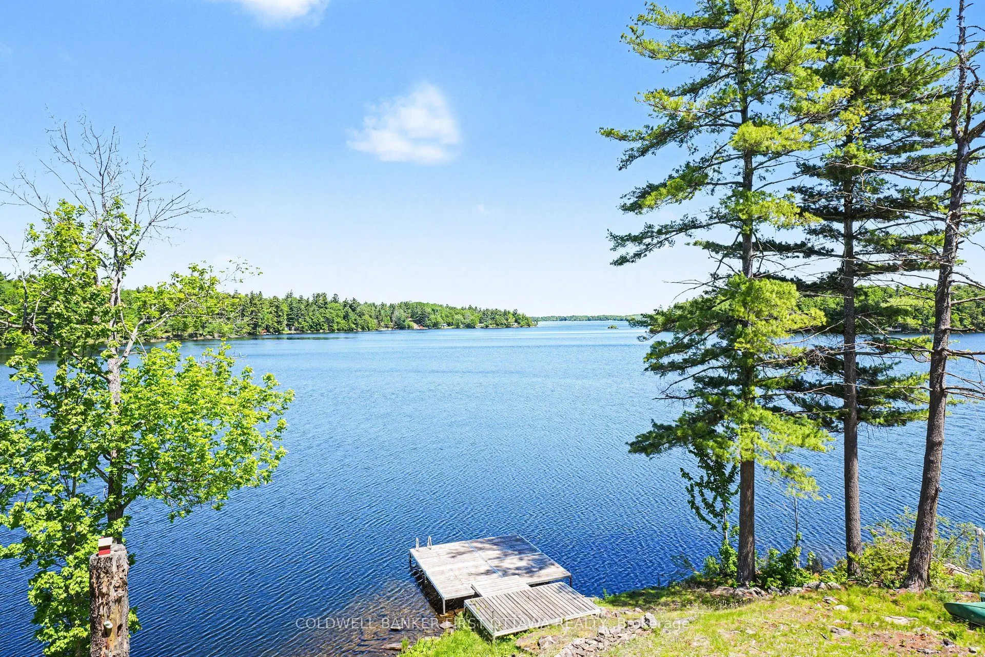 1394 Black Lake North Shore