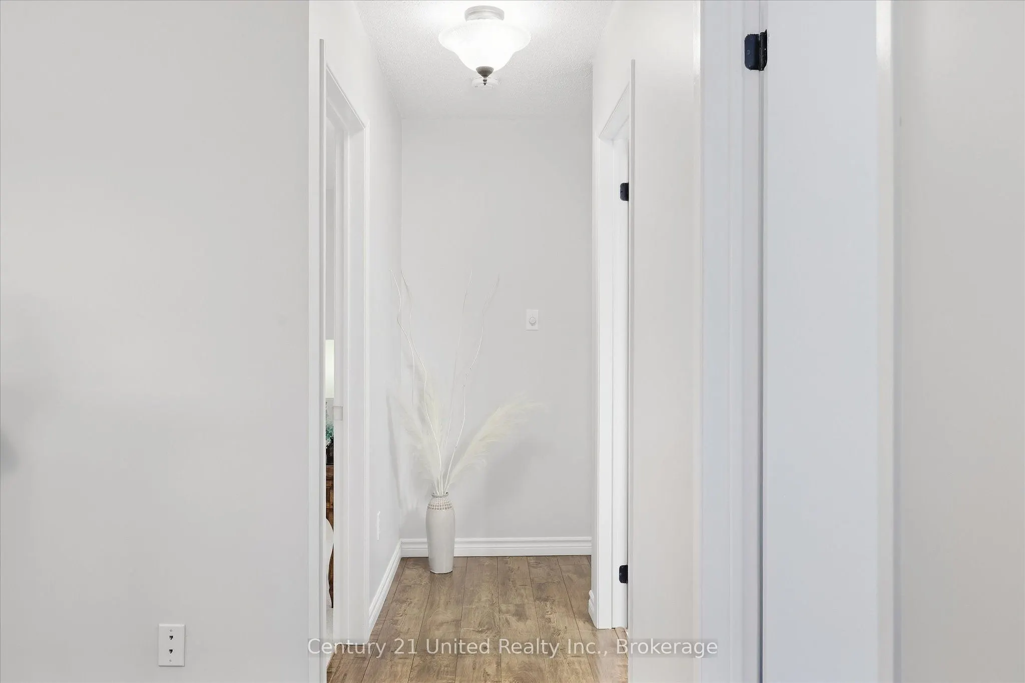 2406 Mountland Drive #202