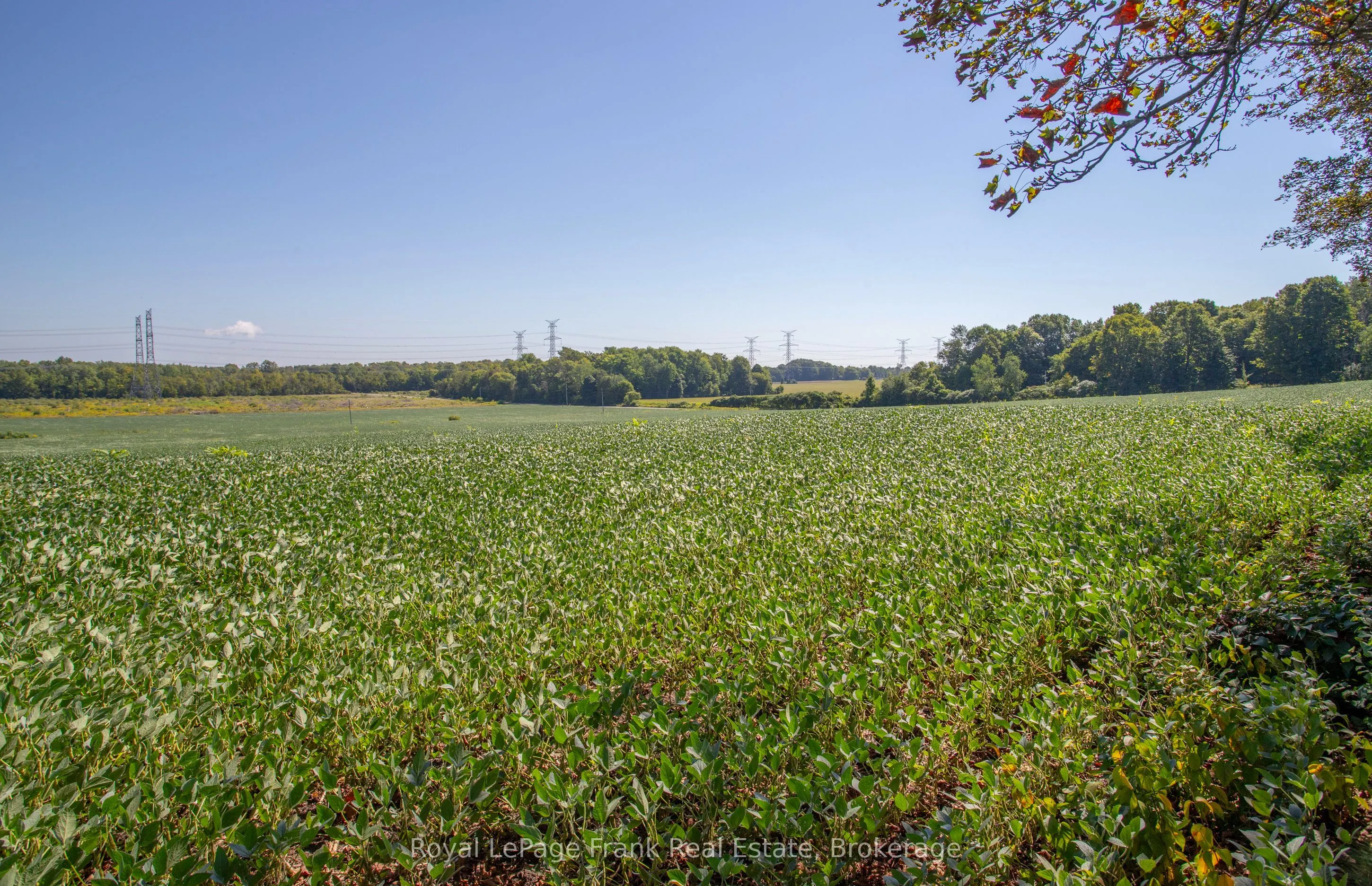 1350 4Th Line Road