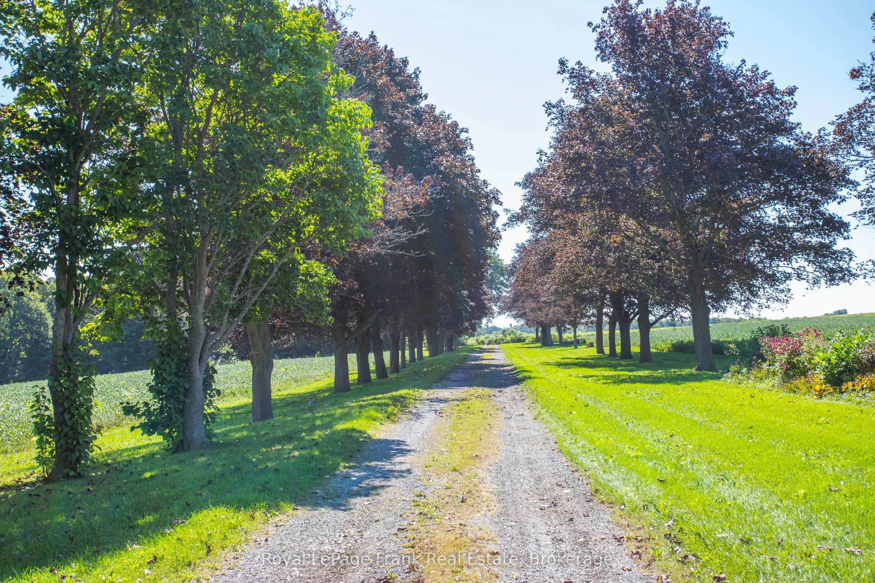 1350 4Th Line Road