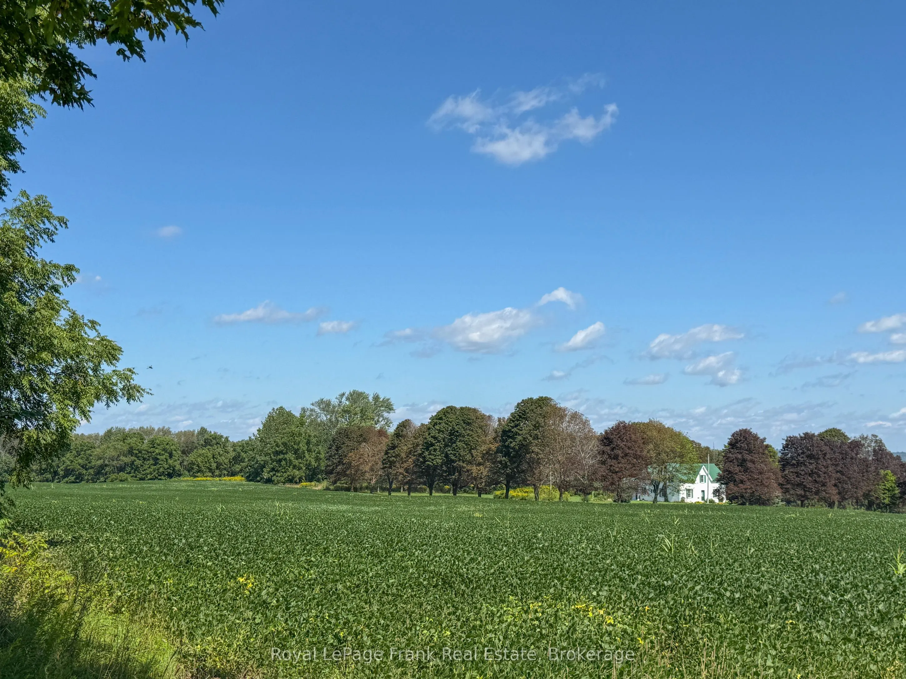 1350 4Th Line Road