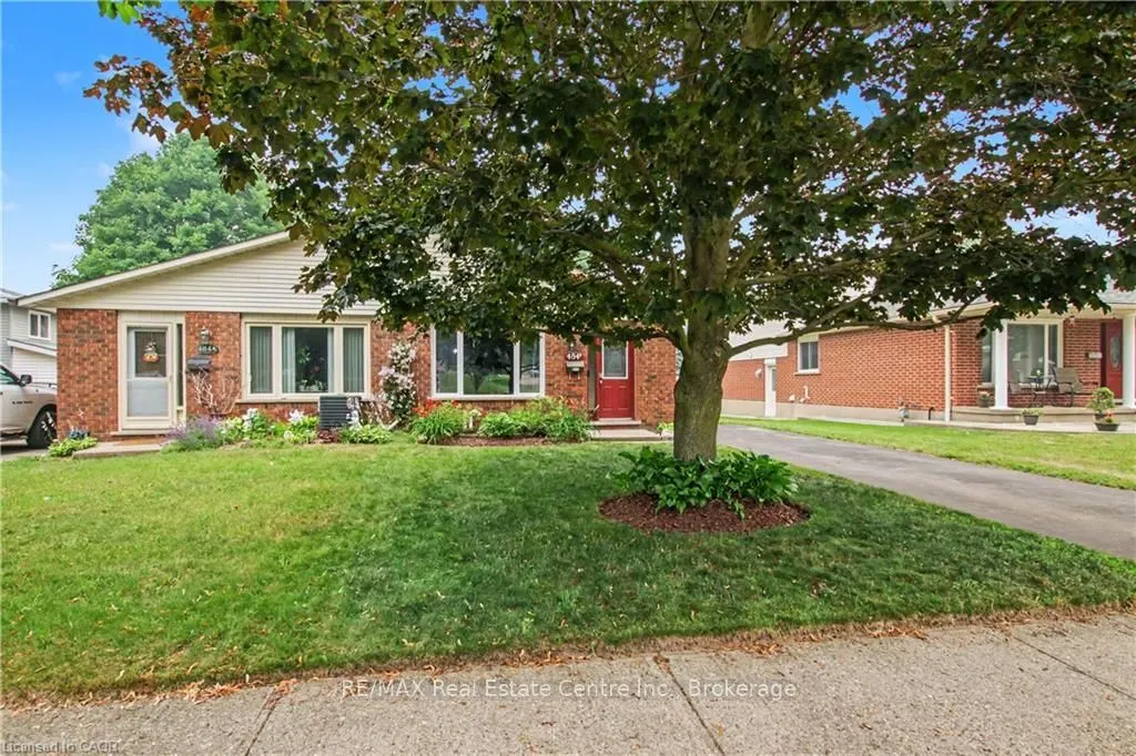 484B RED FOX Road