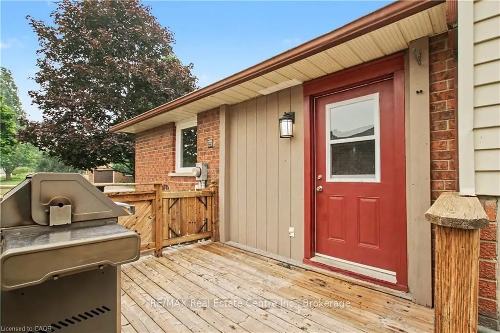 484B RED FOX Road