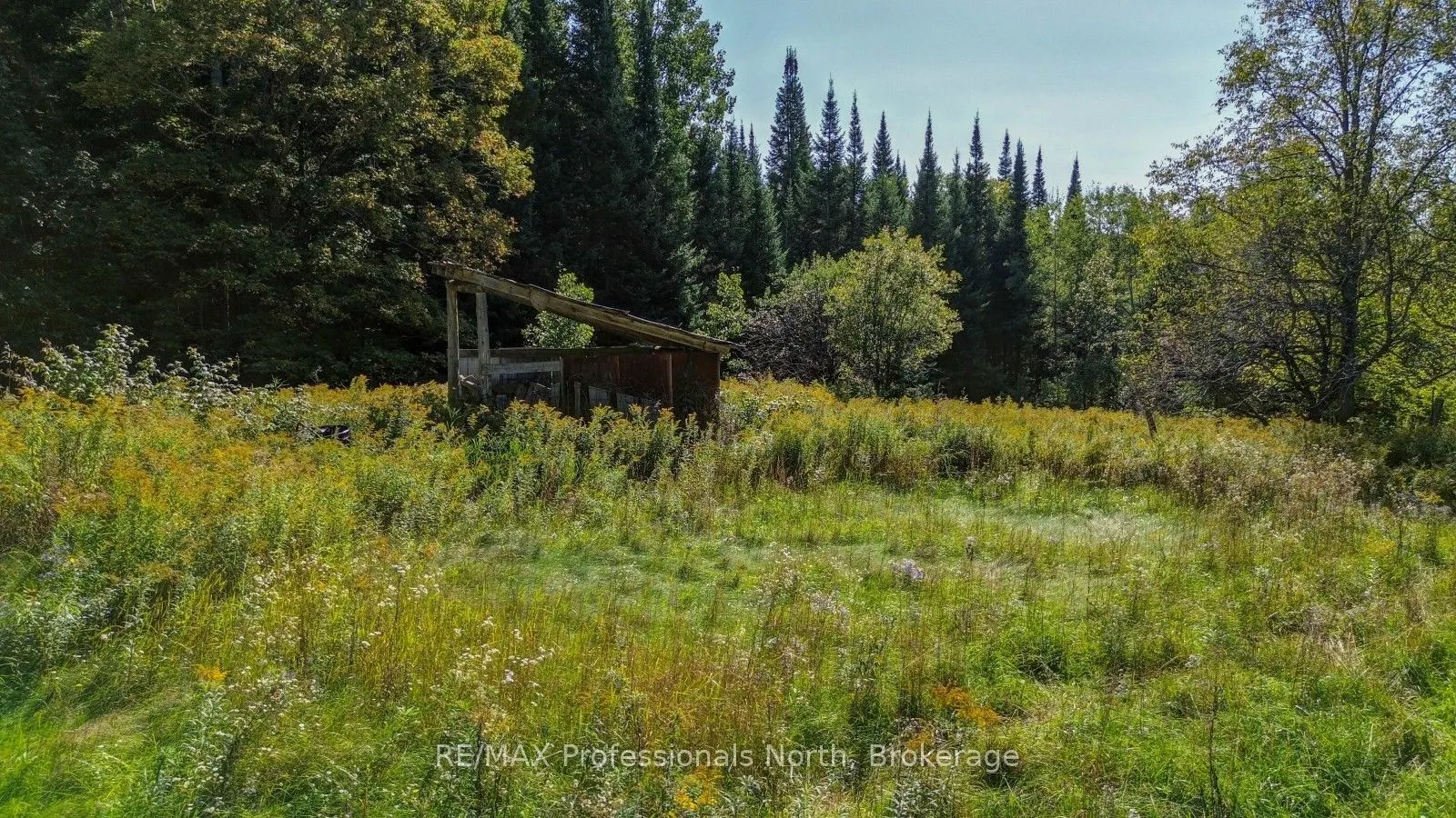 4388 Loop Road