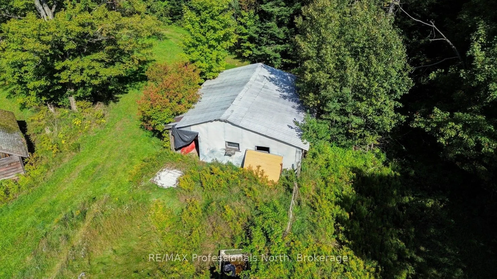 4388 Loop Road