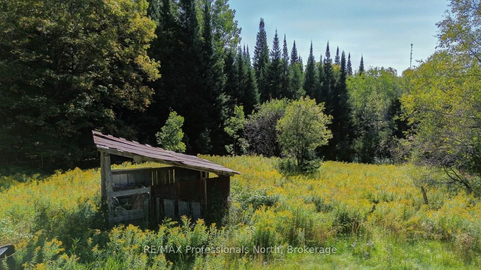 4388 Loop Road