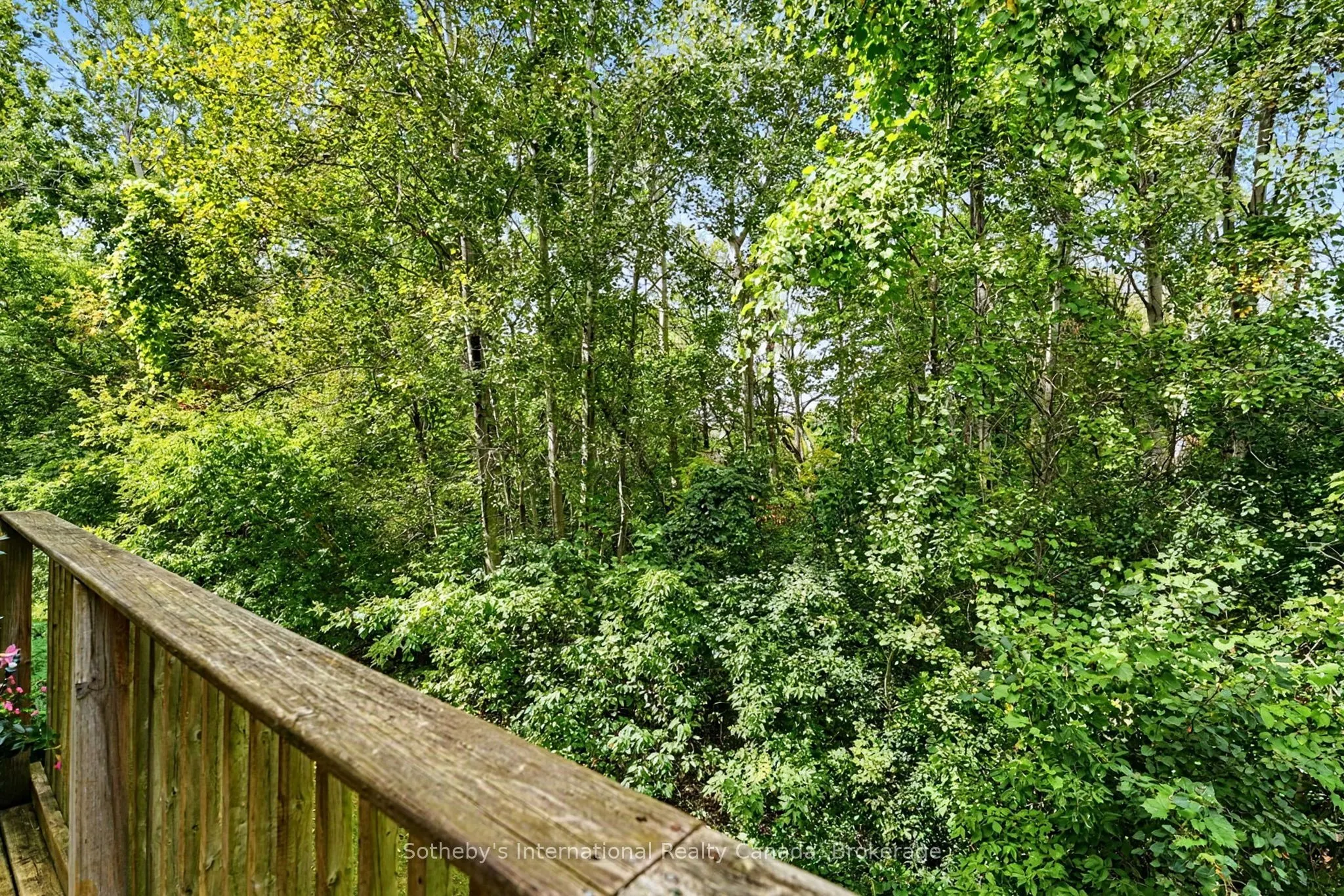 9 Meadowbrook Lane #16