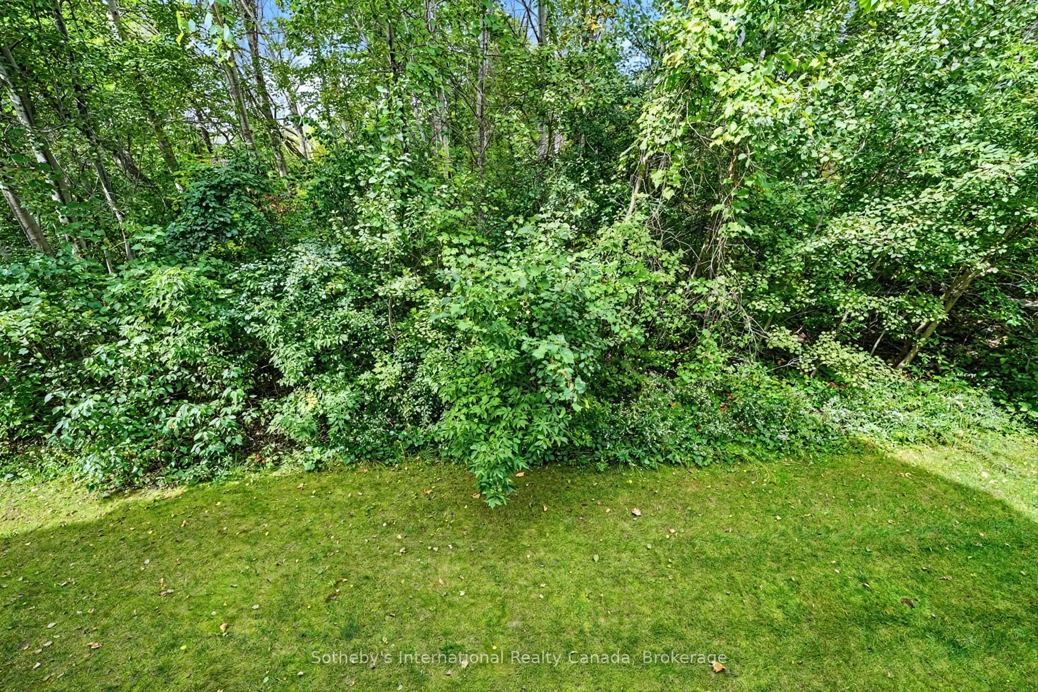 9 Meadowbrook Lane #16