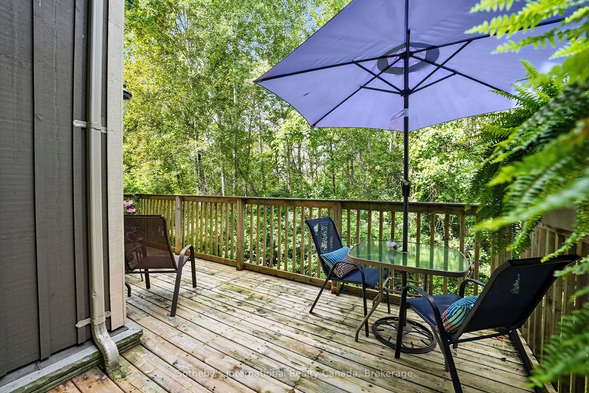 9 Meadowbrook Lane #16