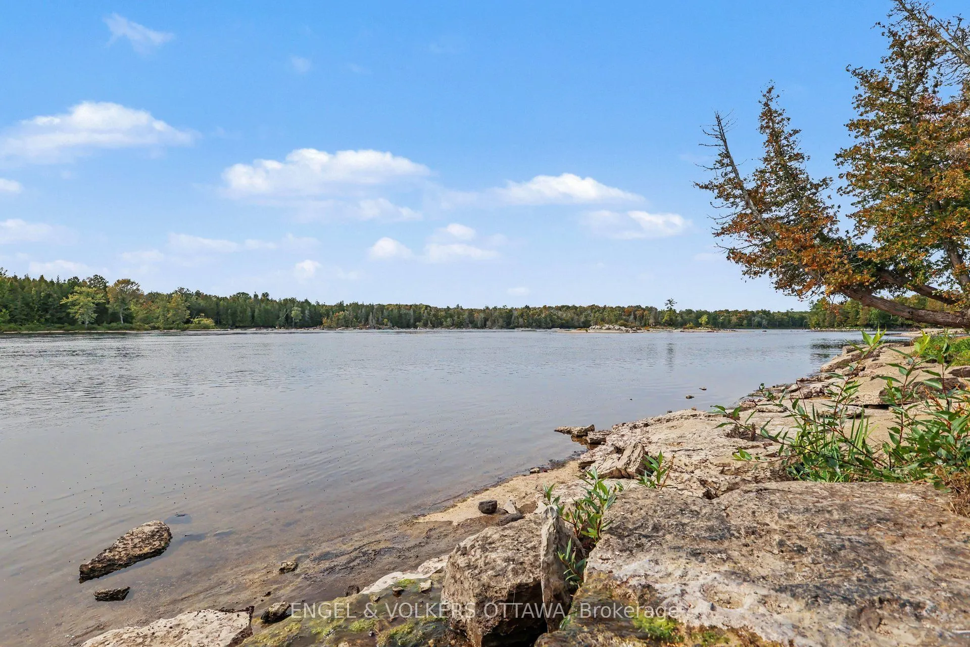 311 Clem Trail