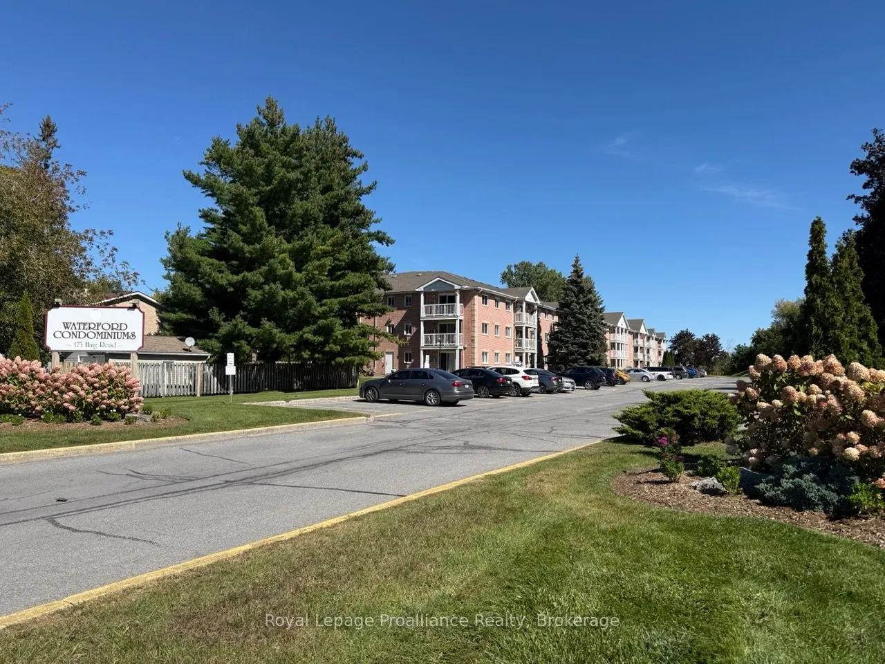 175 Haig Road #213