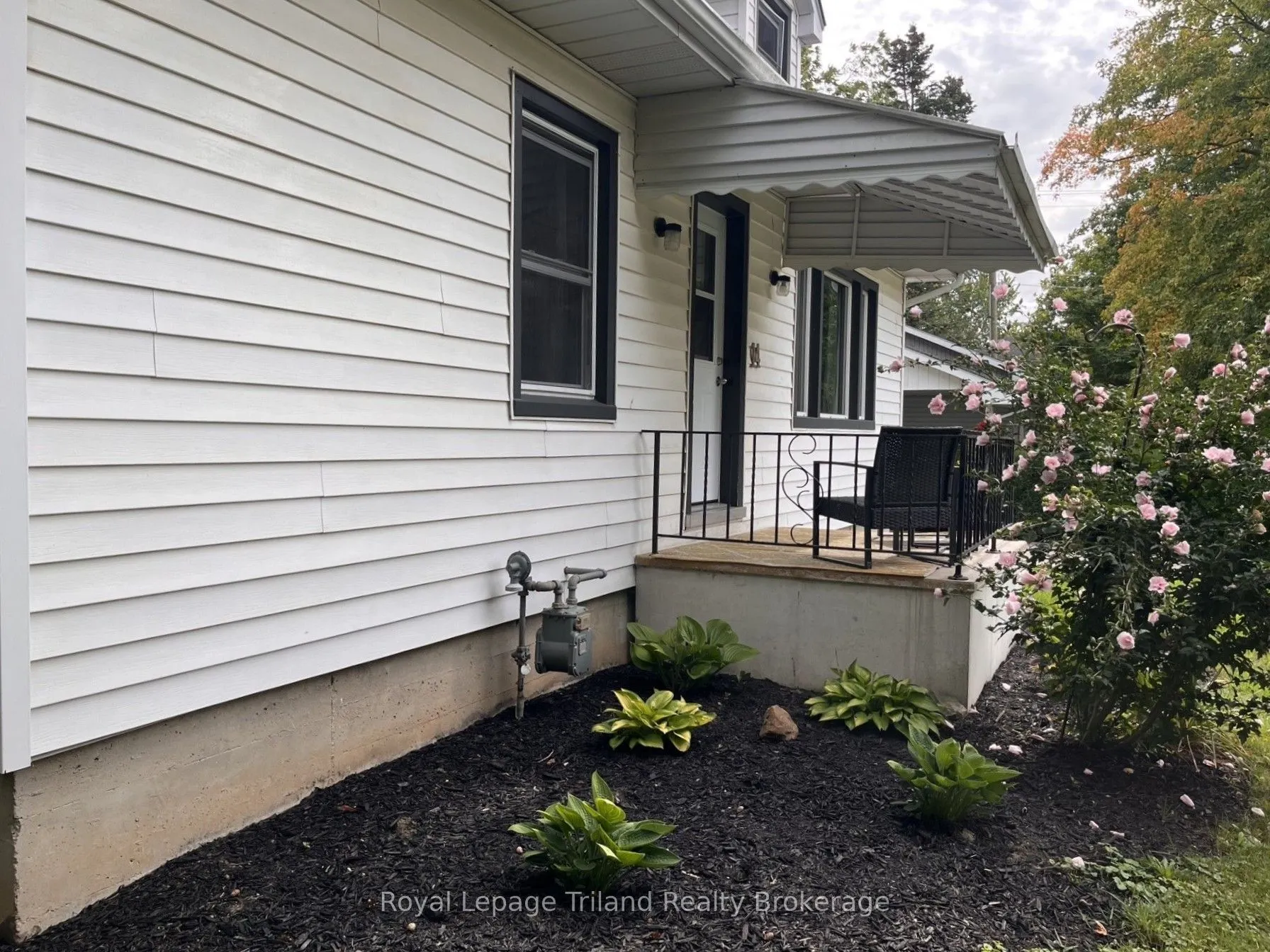 14 Cook Street