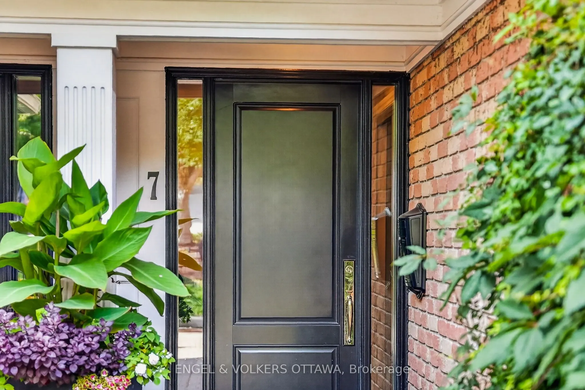55 Whitemarl Drive #7