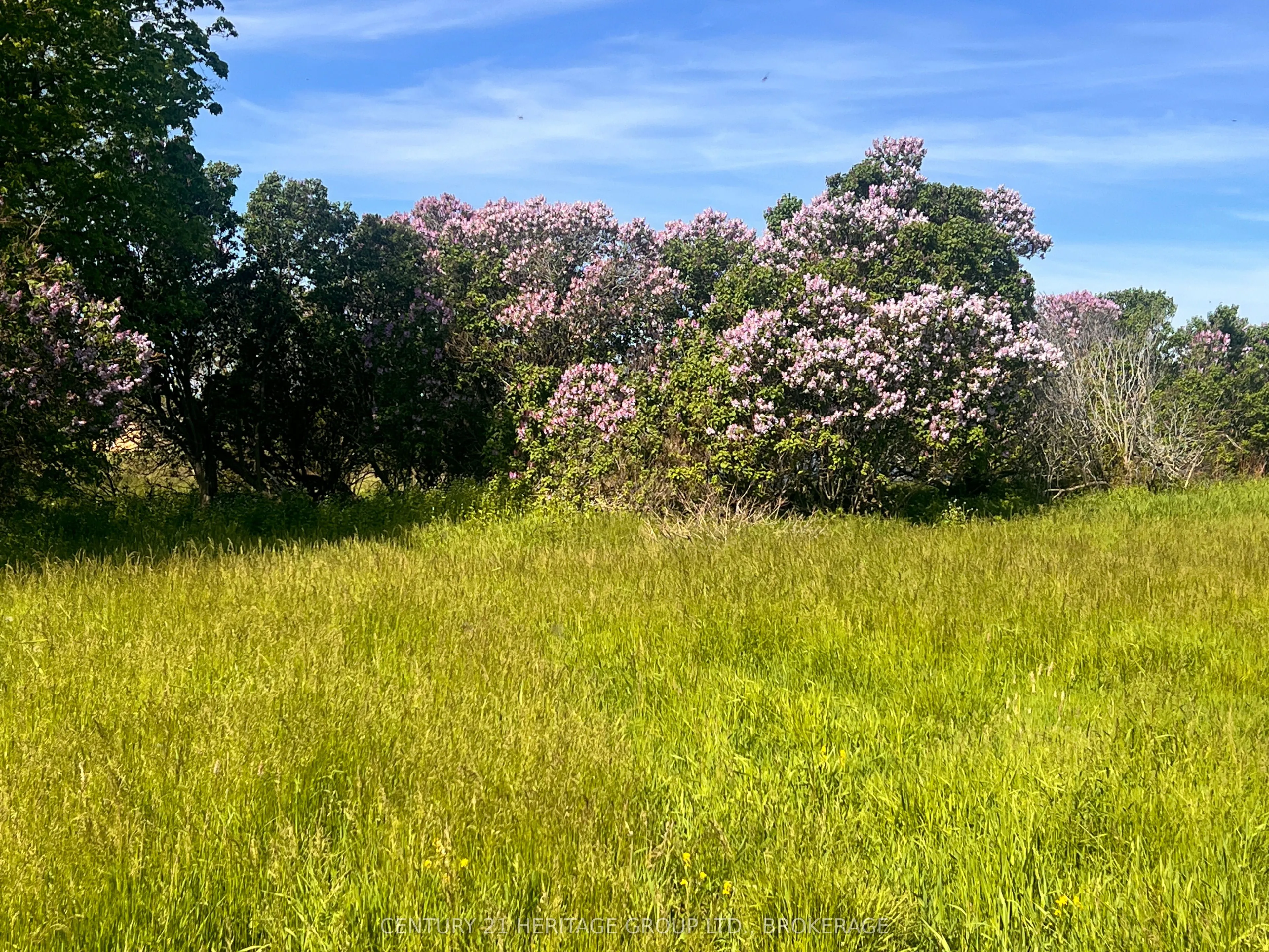 LOT 17 SOUTH SHORE Road