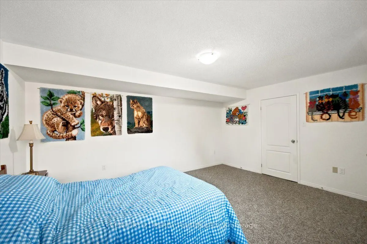 111 White Drive