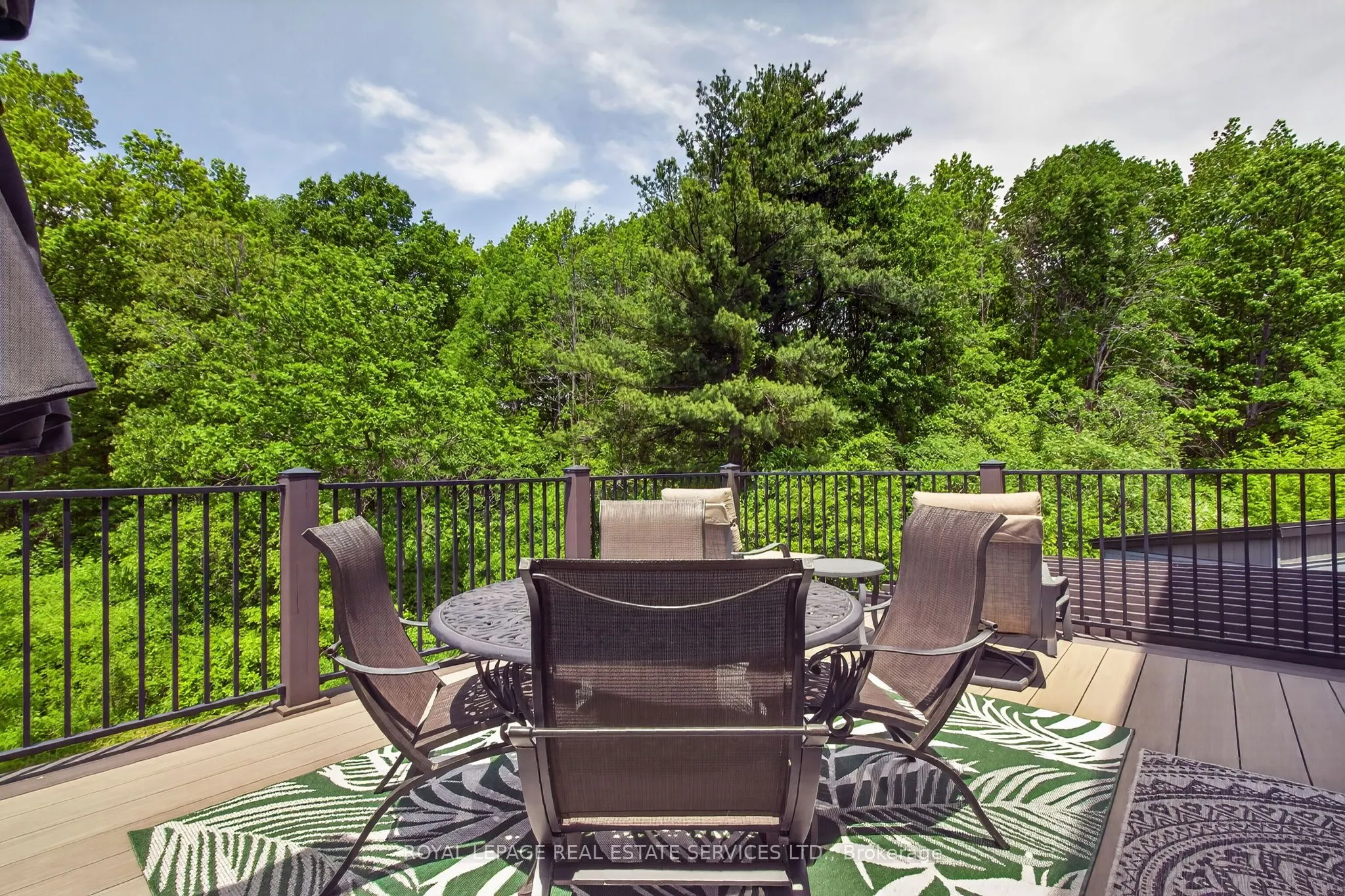 31 Dorr Court