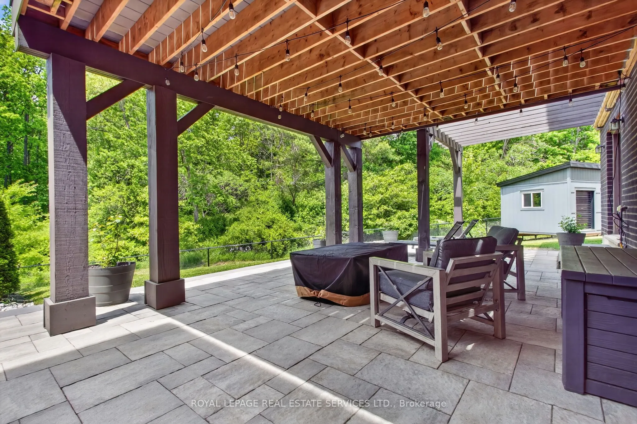 31 Dorr Court