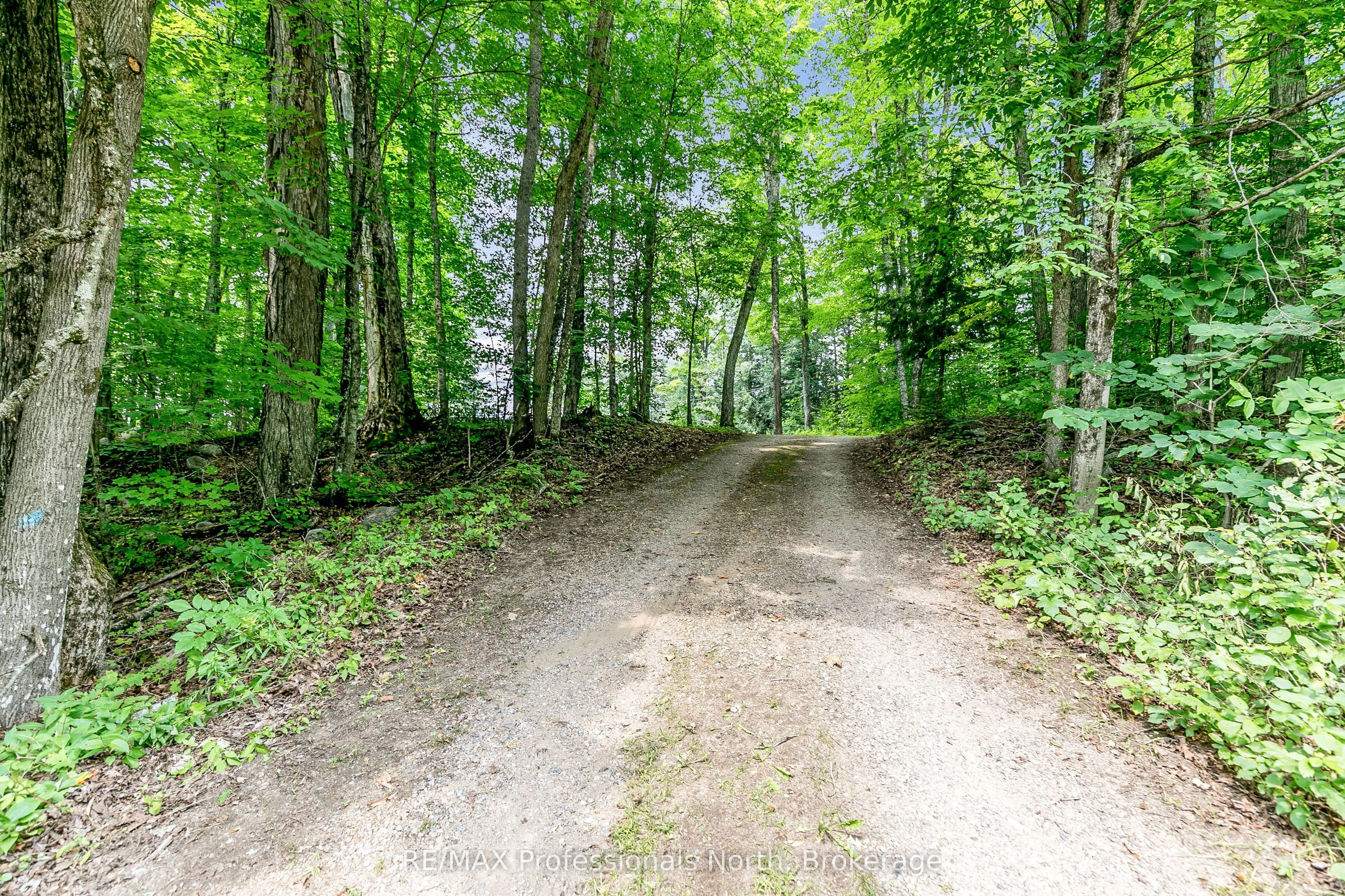 1813 Kashagawigamog Lake Road