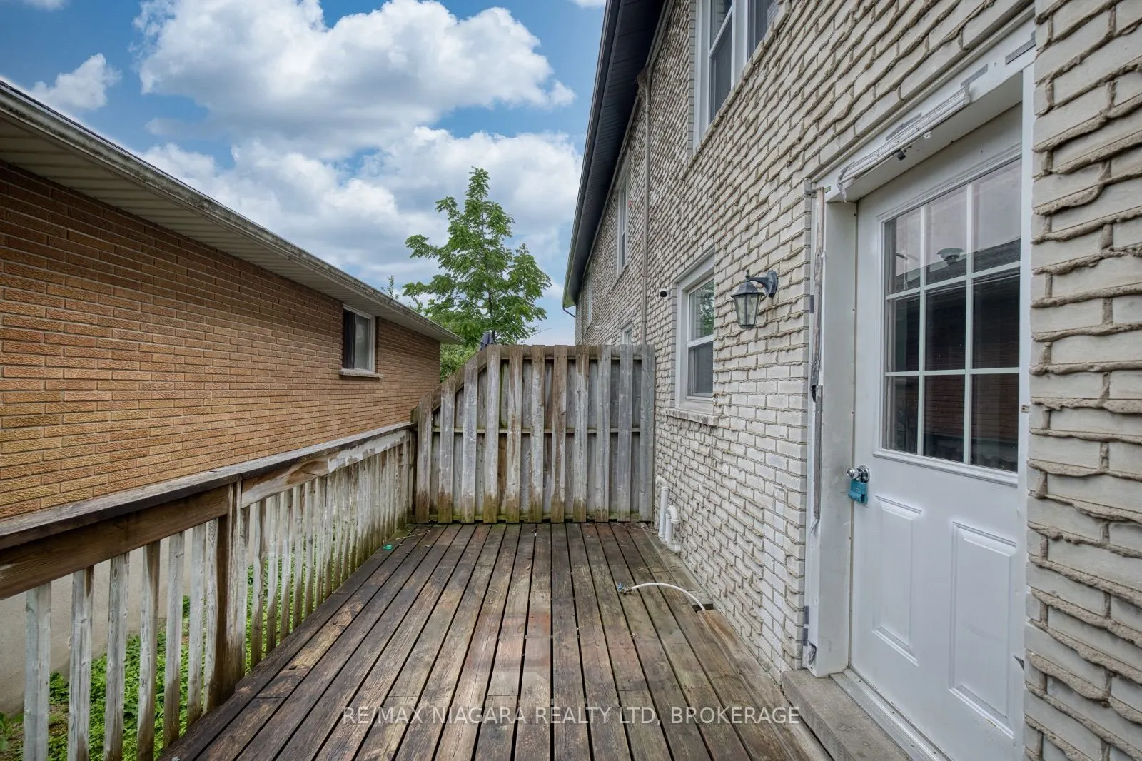 252 Bertie Street #1