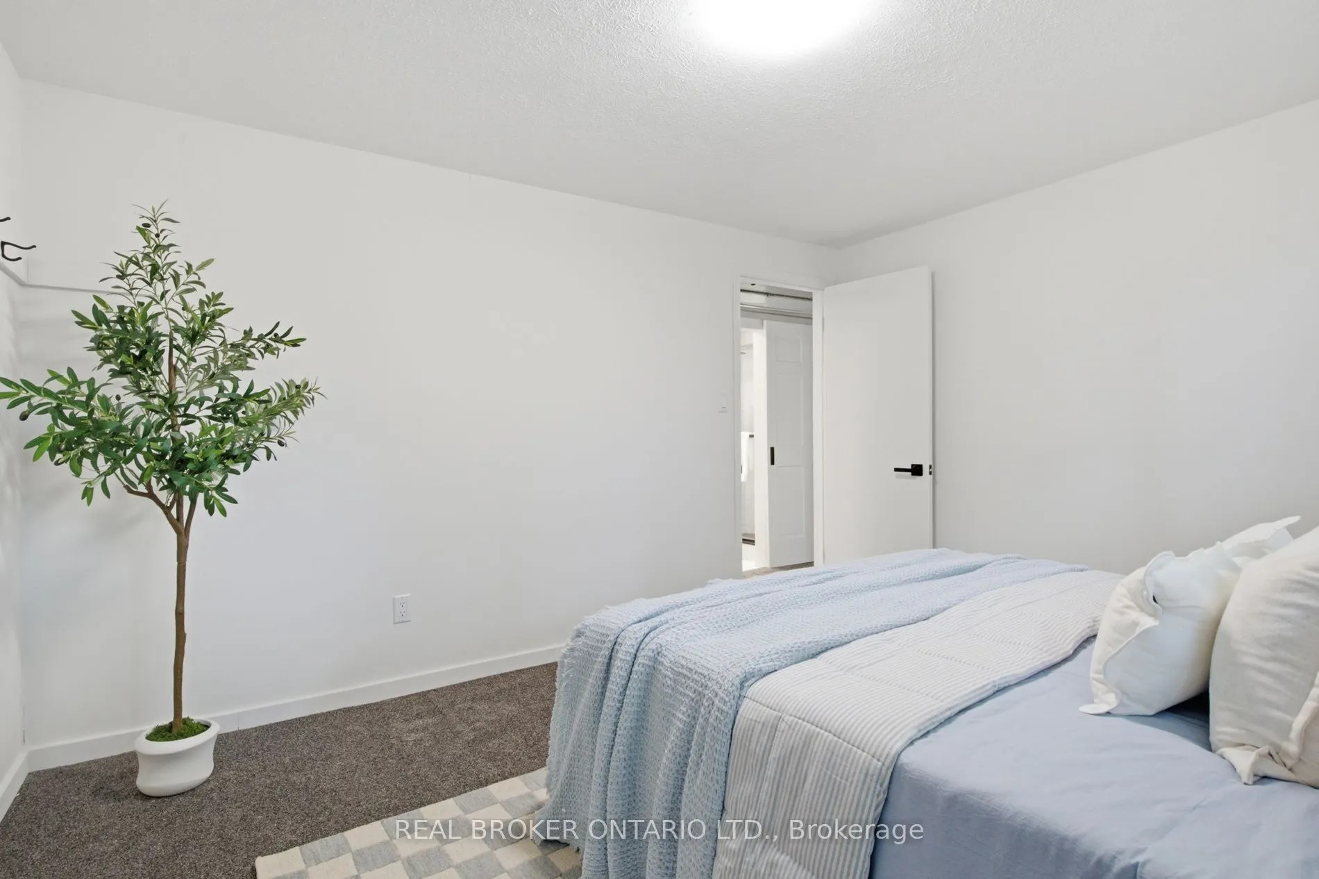 22 Ripley Crescent