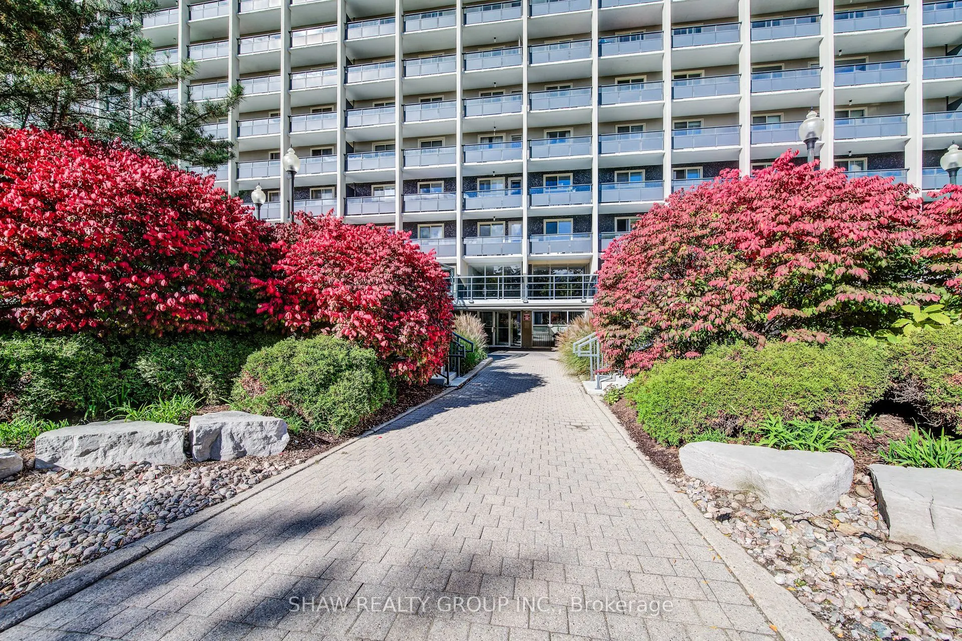 58 Bridgeport Road #505