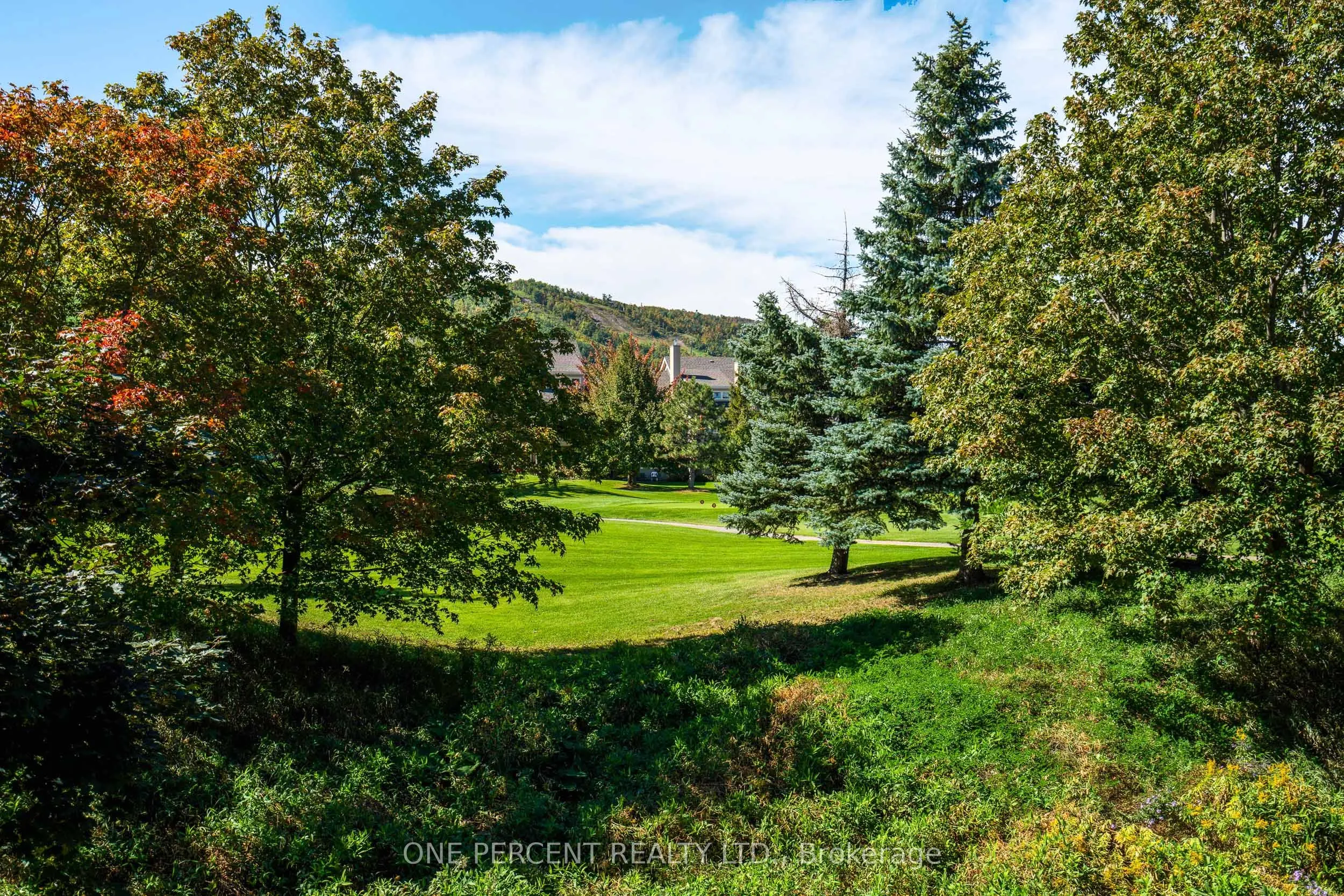 110 Fairway Court #210