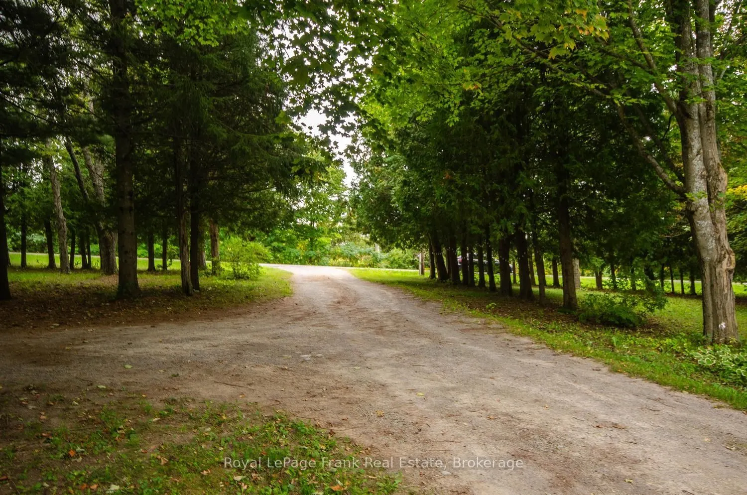 15032 Telephone Road
