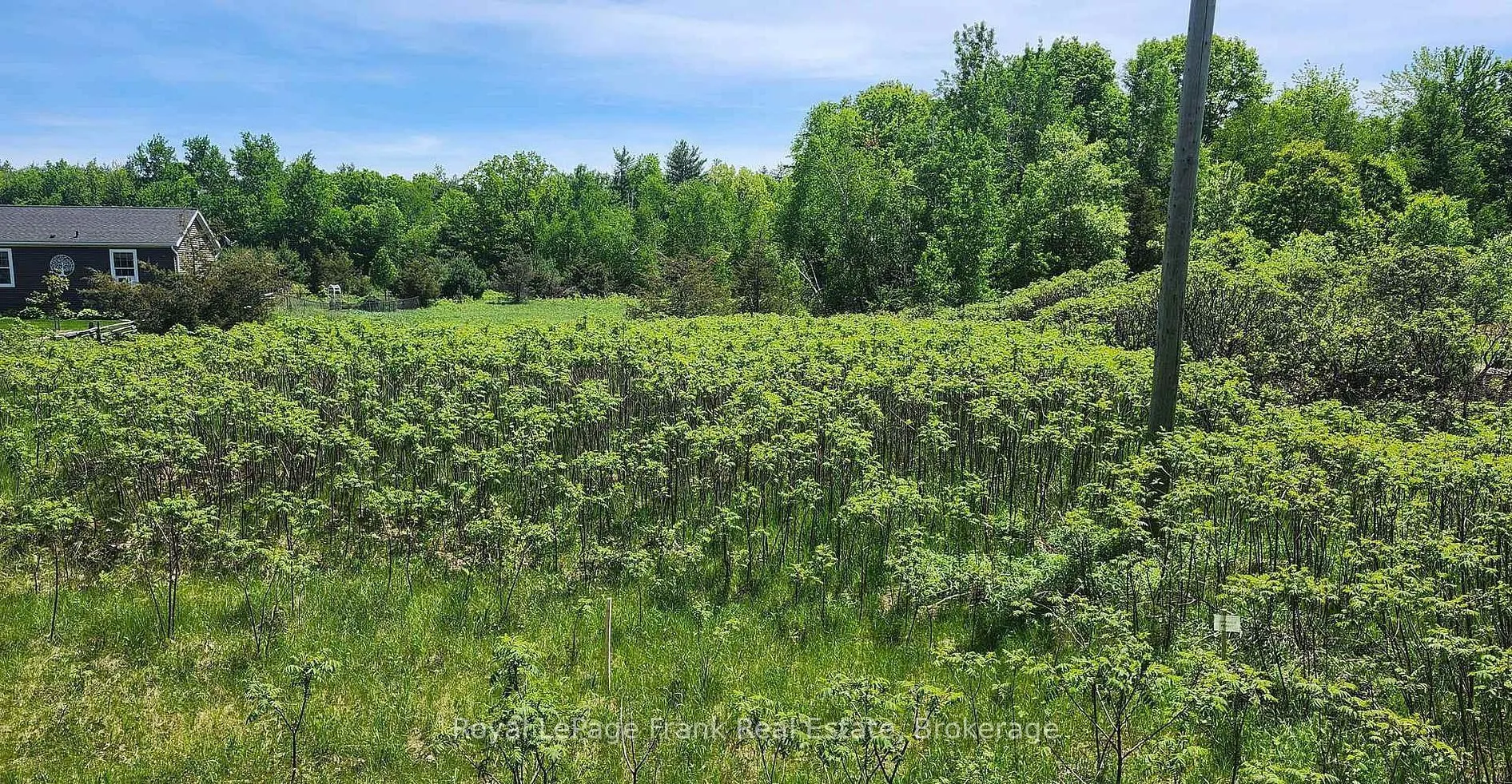 LOT 14 TRENT RIVER Road