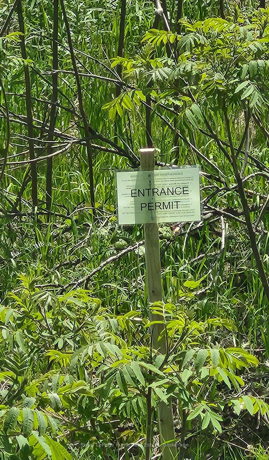 LOT 14 TRENT RIVER Road
