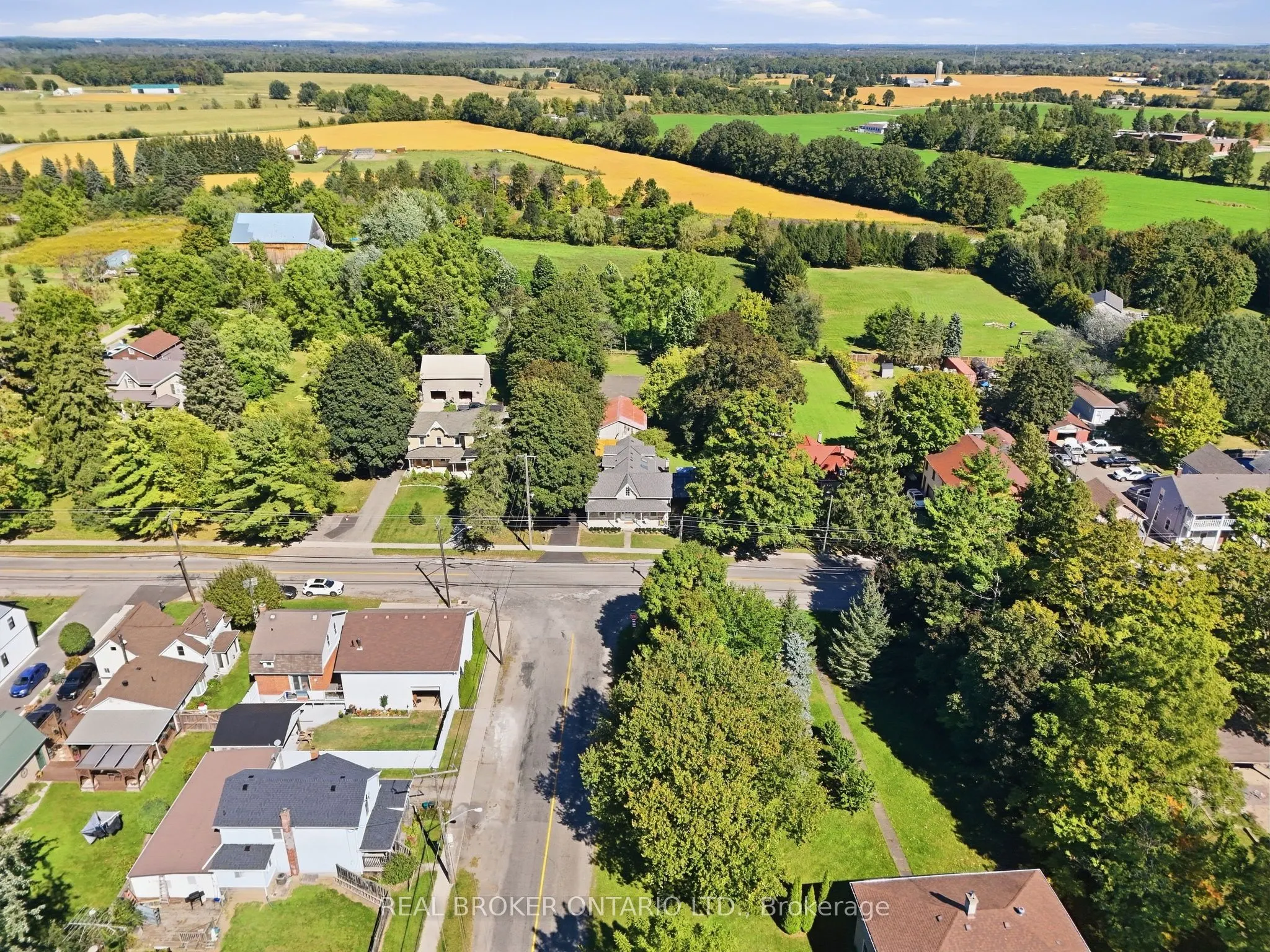 1264 Old 8 Highway
