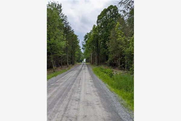 7322 Stone School Road