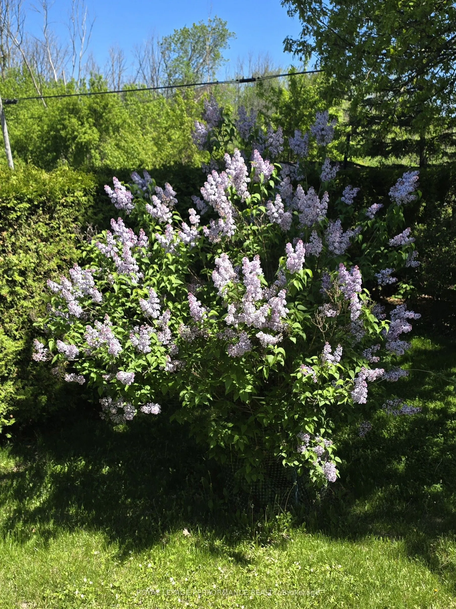 418 Bellevue Crescent