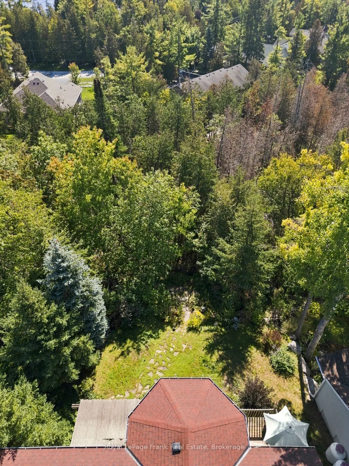 62 Cedartree Lane
