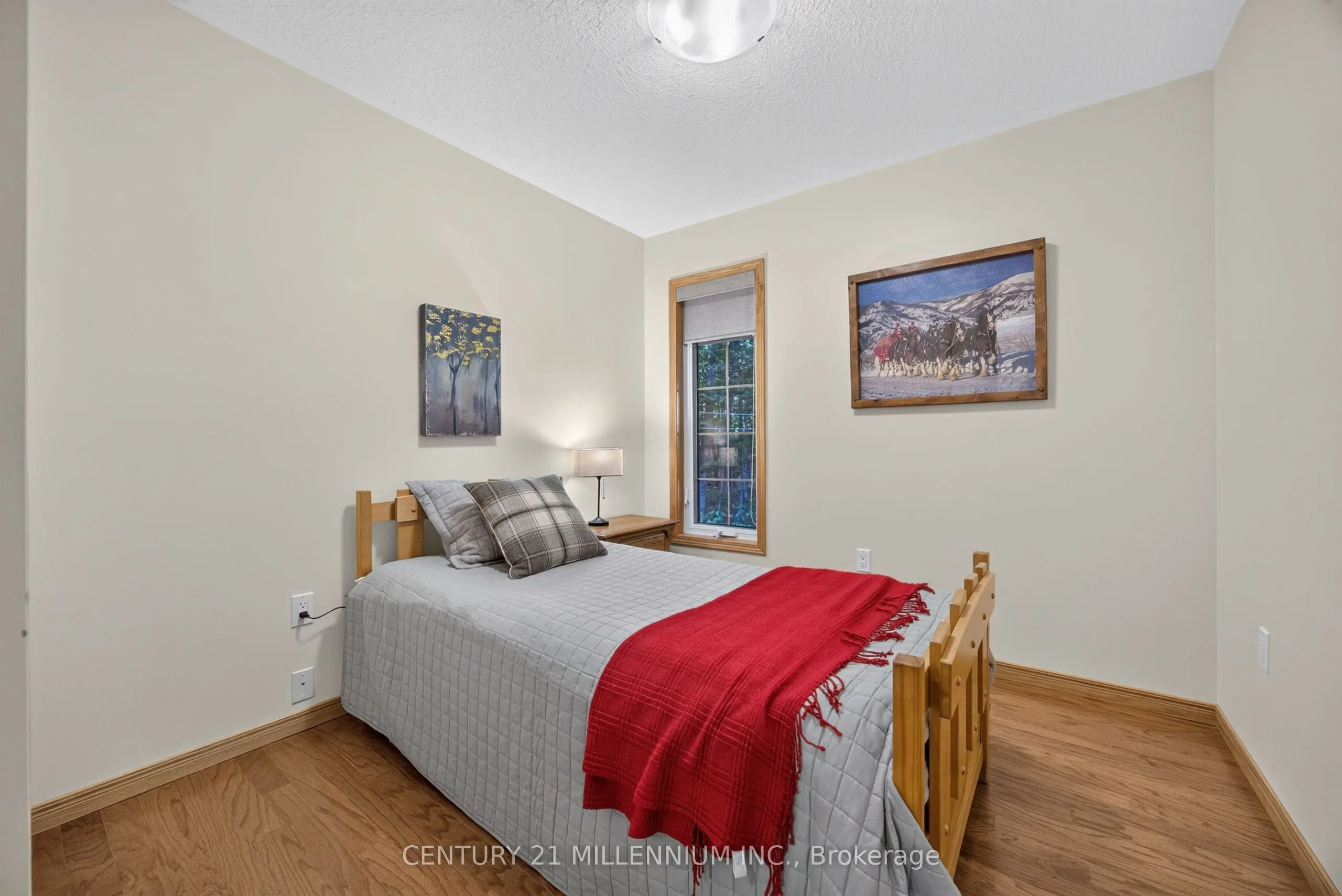 193496 Amaranth - East Luther Townline