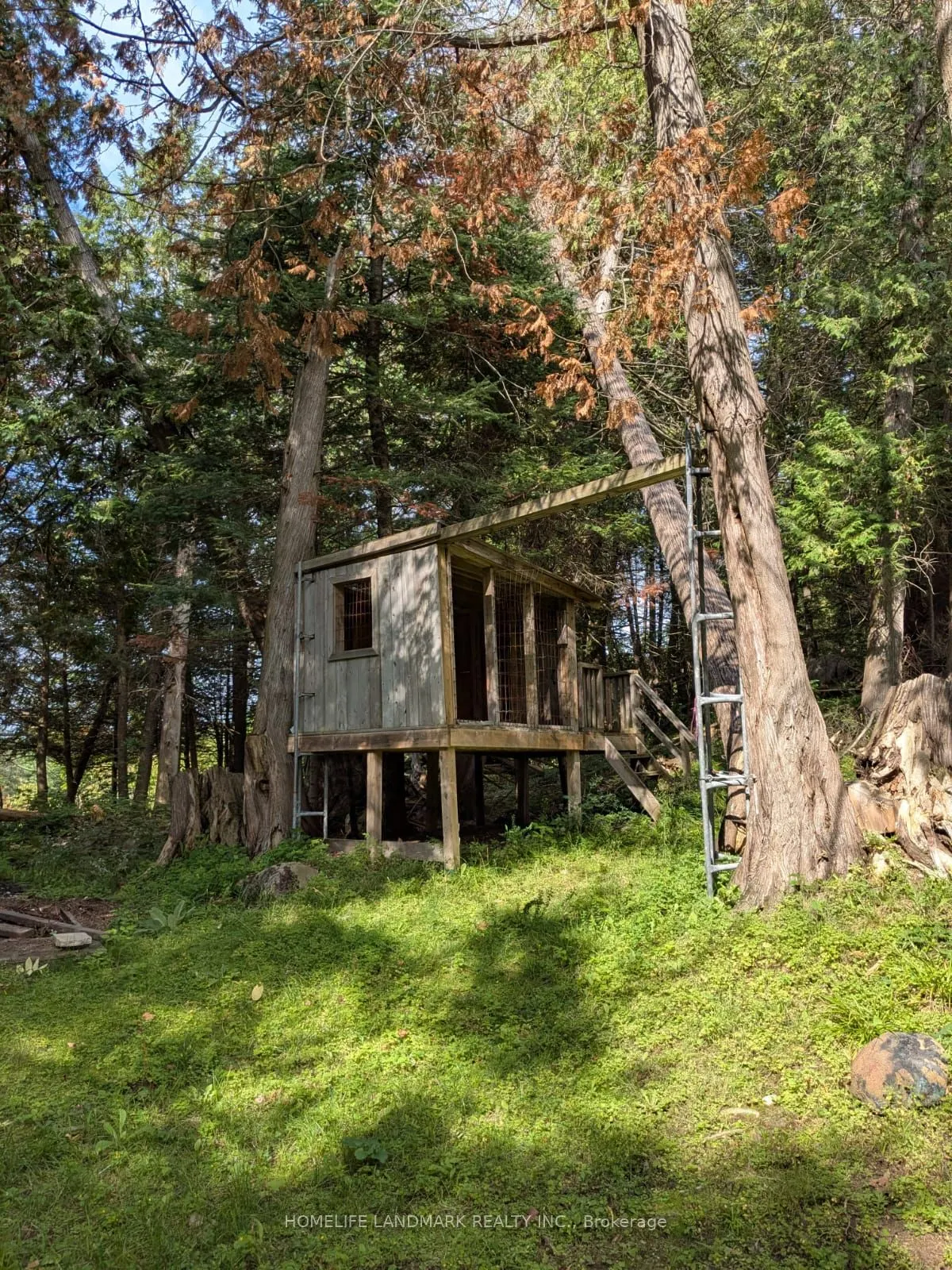 12170 Highway 35