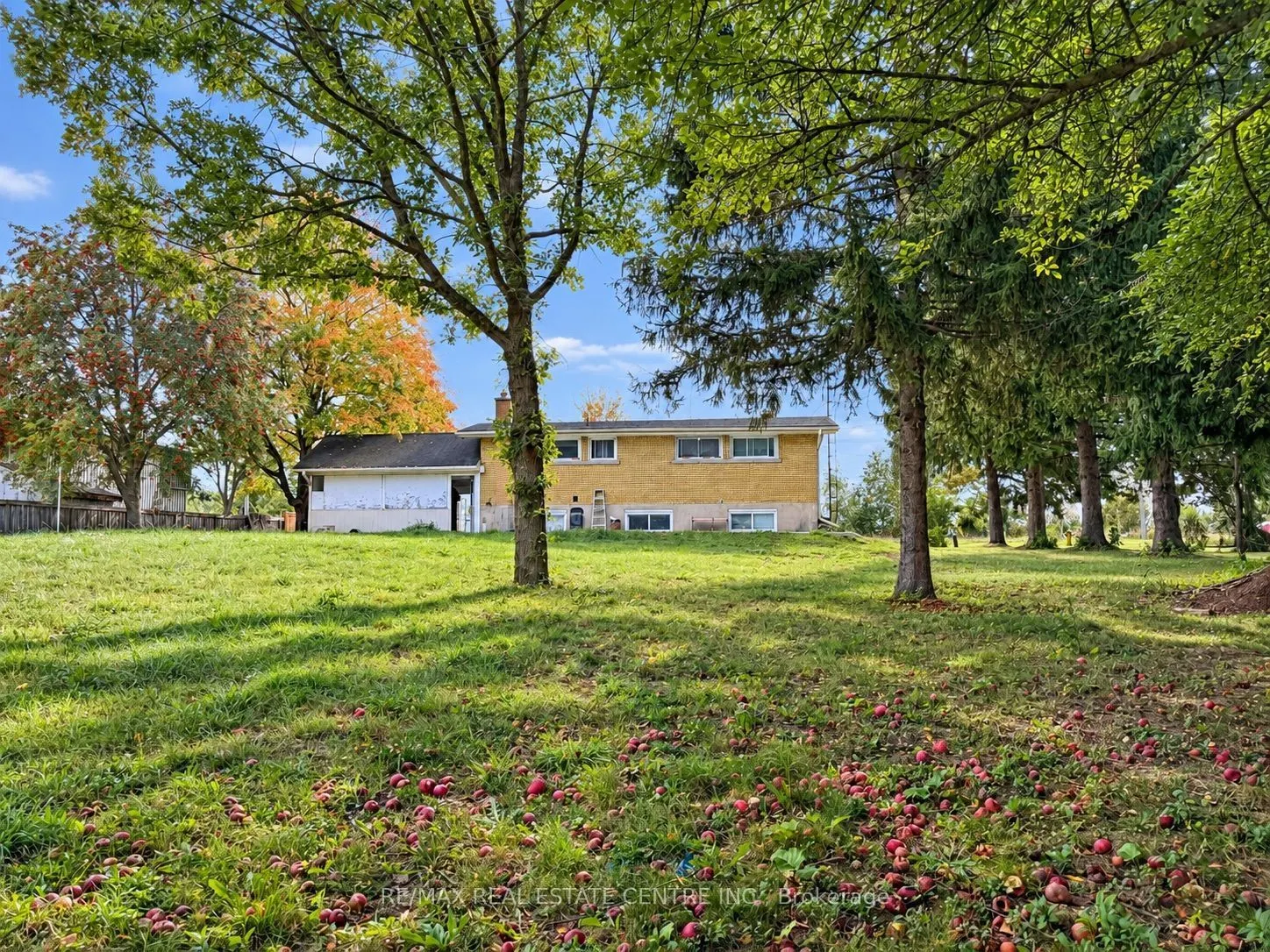 491 Elmira Road N
