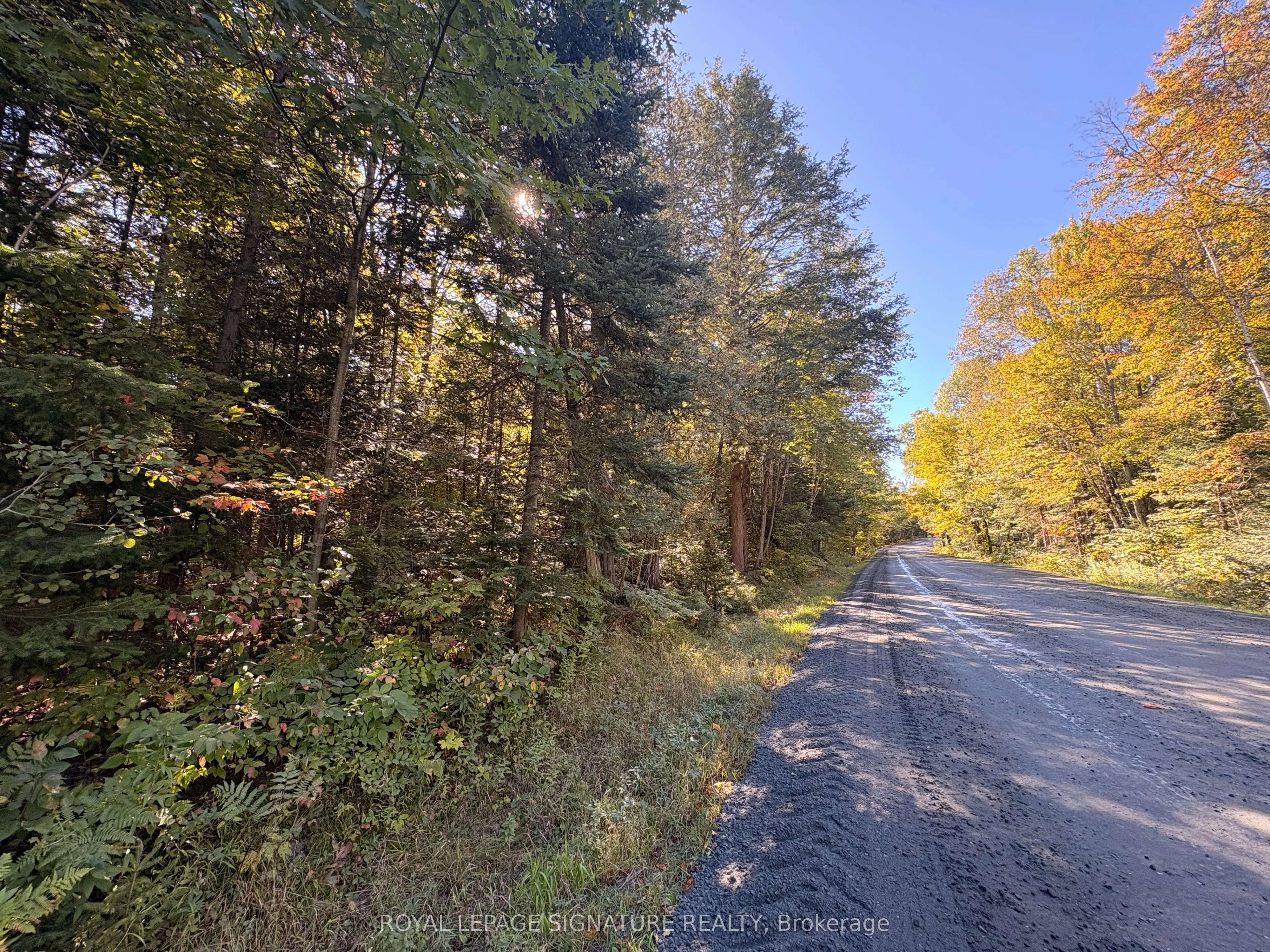 63 Bunny Trail